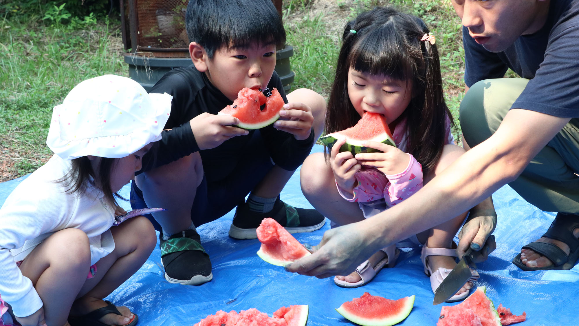 【スイカ割りイメージ】*