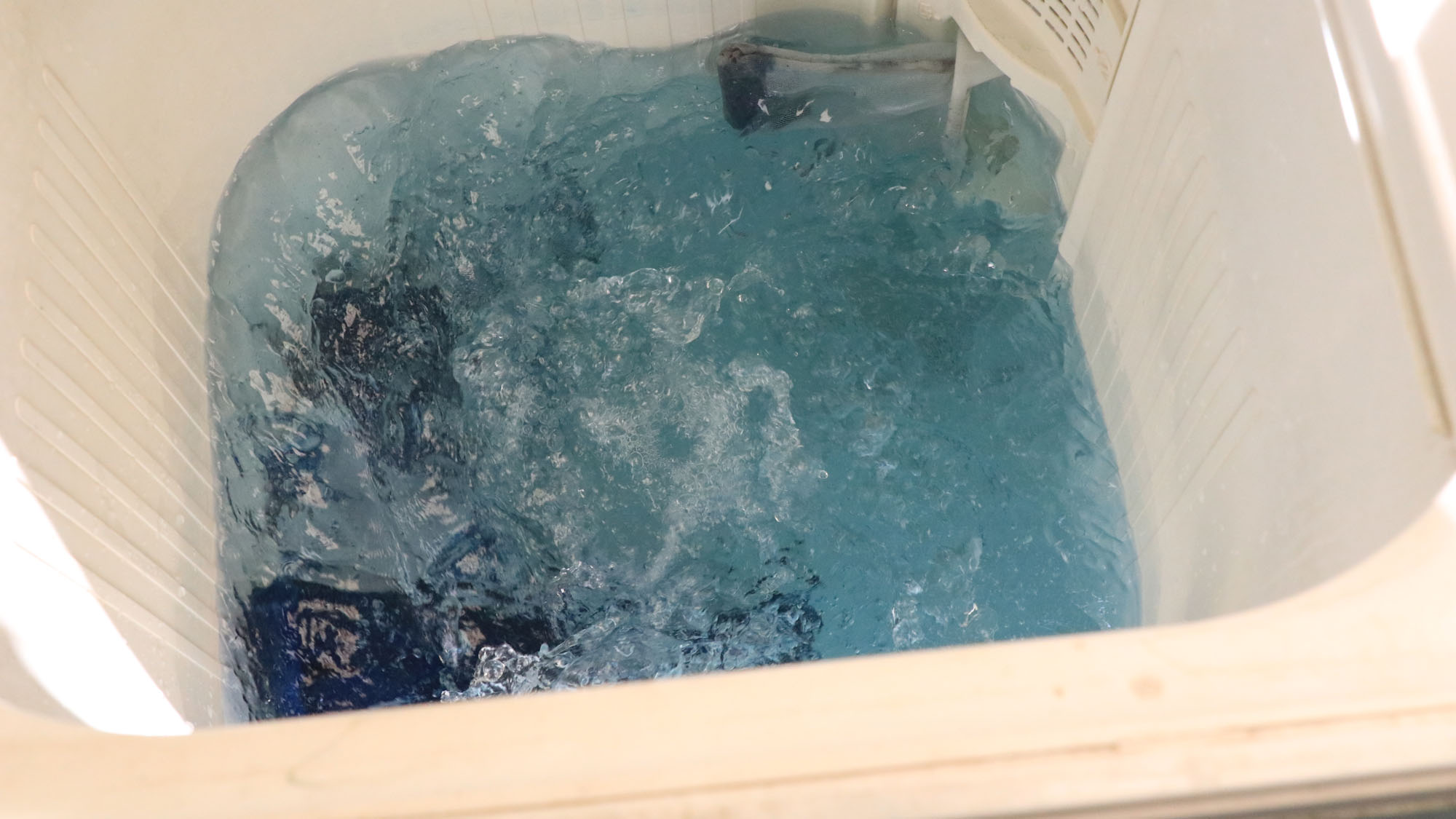 【藍染体験】最後の仕上げでお湯ですすげば完成*