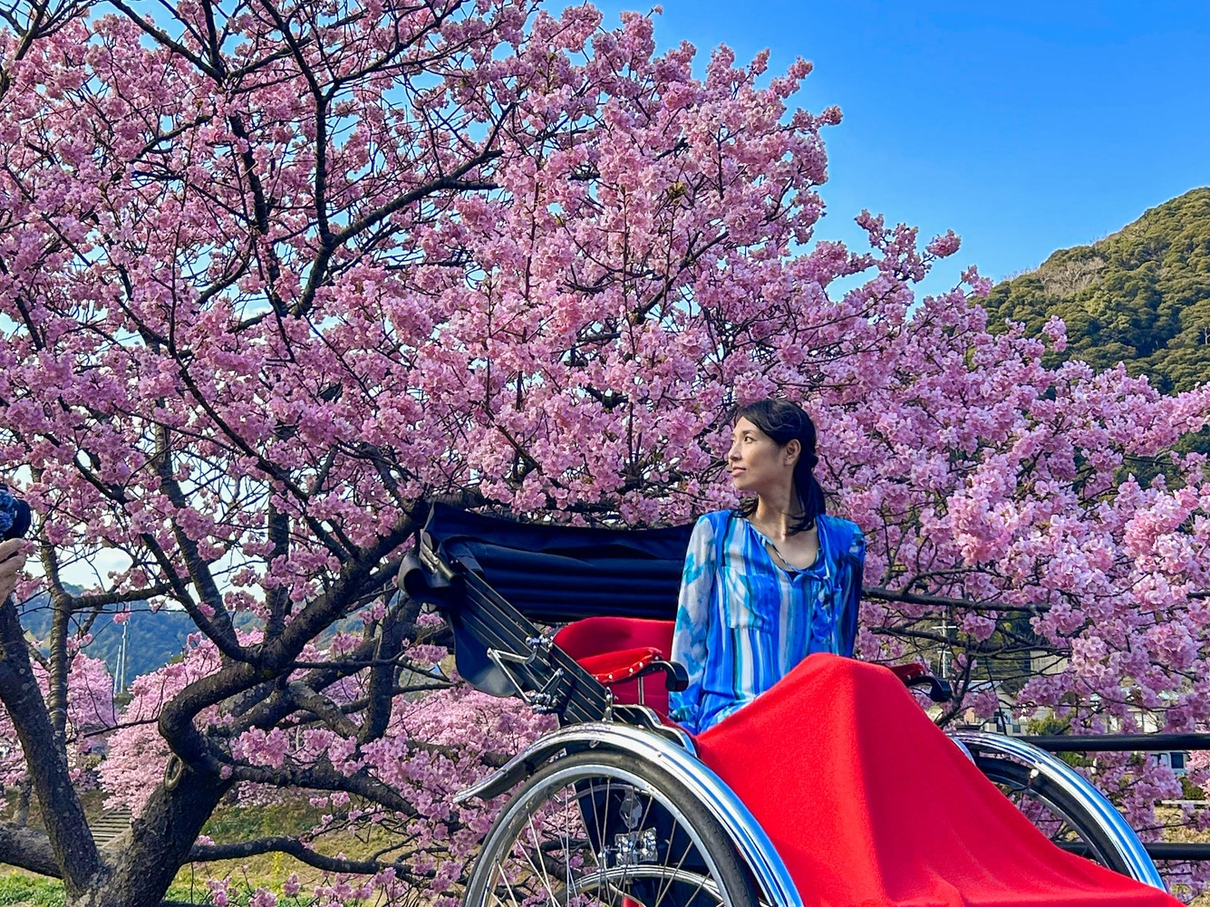 ＼桜祭り×AKIYATO温泉宿／河川敷の桜並木でお花見＆温泉露天風呂で夜空鑑賞プラン！