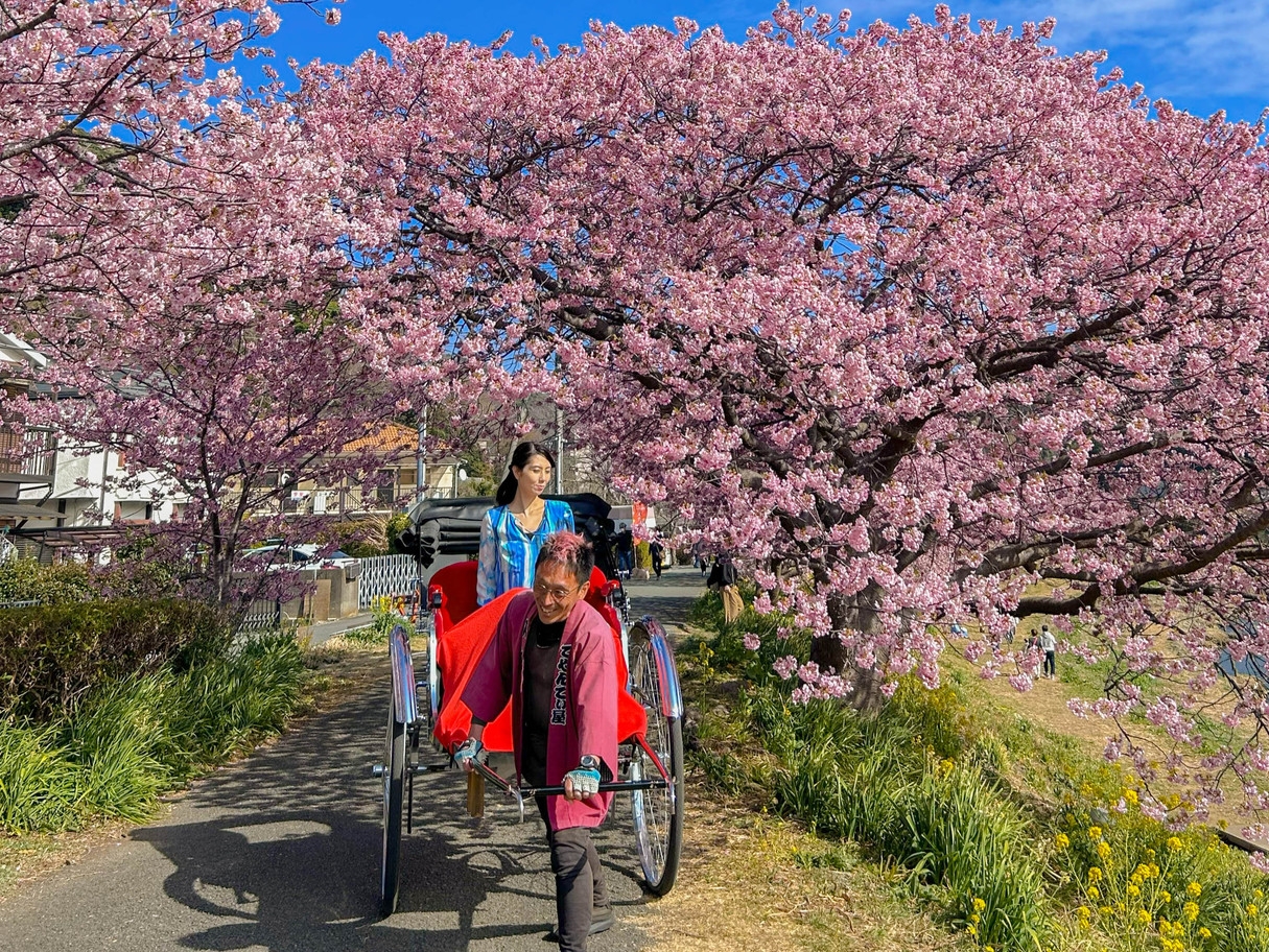 ＼桜祭り×AKIYATO温泉宿／河川敷の桜並木でお花見＆温泉露天風呂で夜空鑑賞プラン！