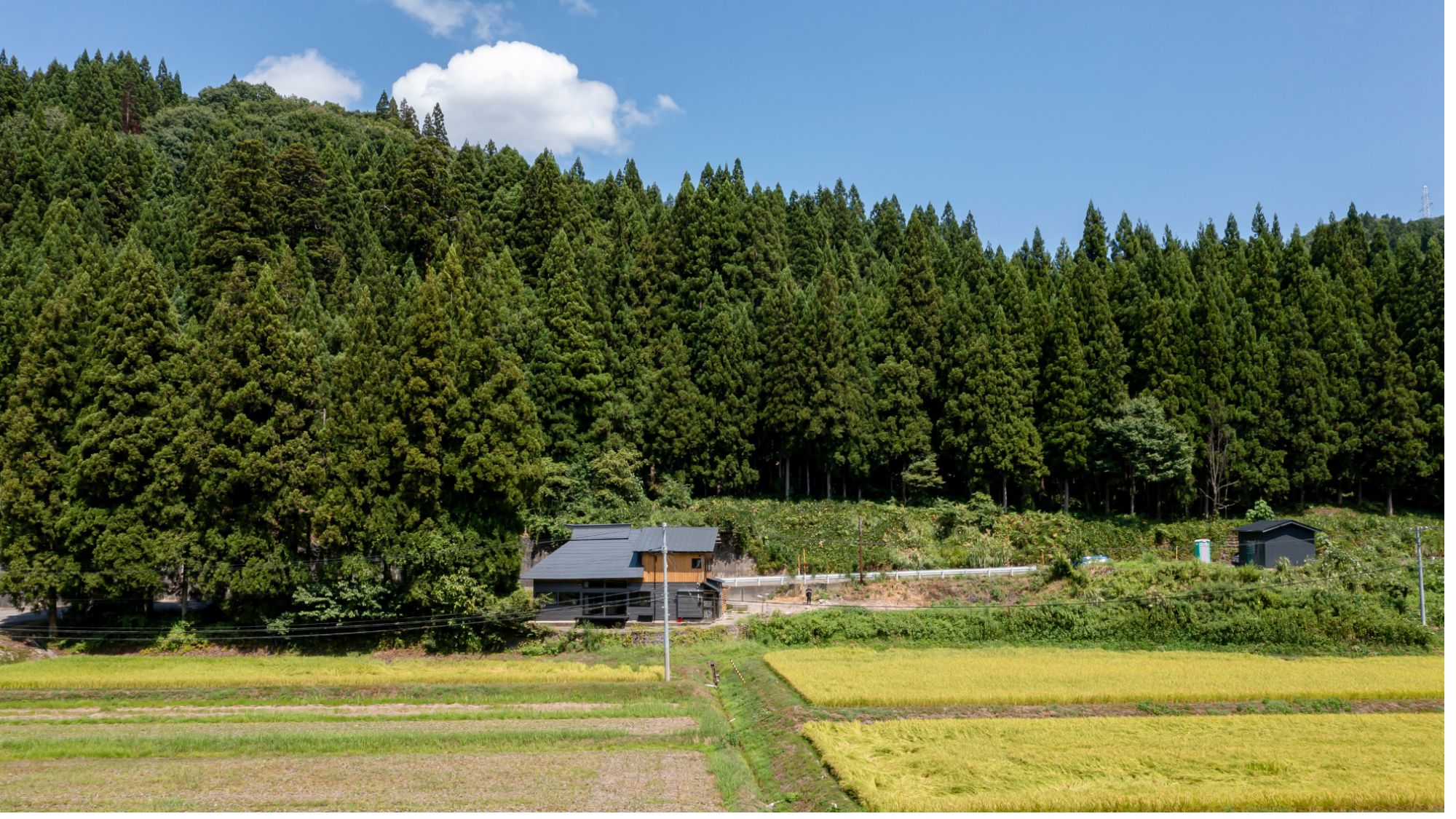 ラッカ庵野 庵野水晶 [DM25SP1 TD5/TD5] | トレカカク～デュエマ価格サイト～