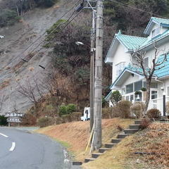 小西屋看板と家屋