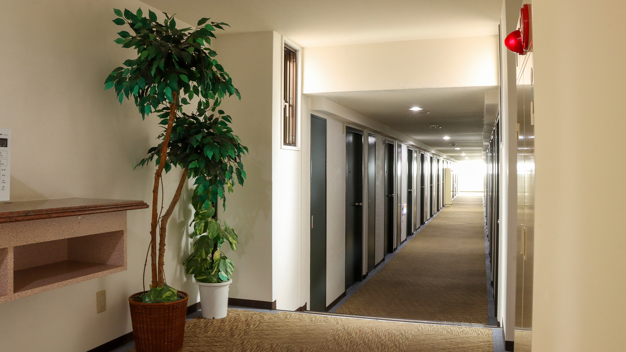 #館内　明るく清潔感あふれる客室フロアの廊下。各お部屋へは、心地よい空間を通ってご案内いたします。