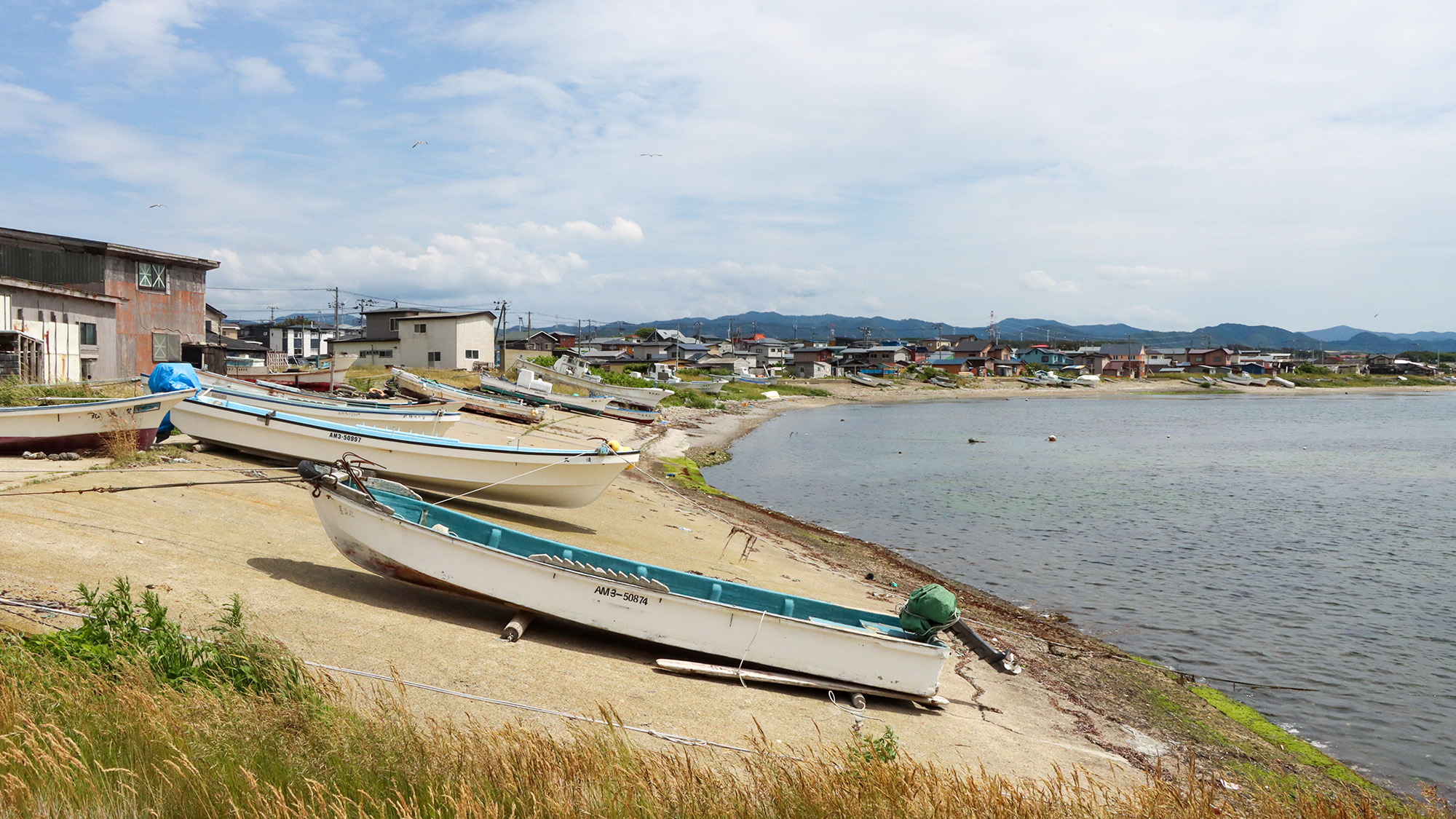 #周辺　漁船が並ぶ海岸線。