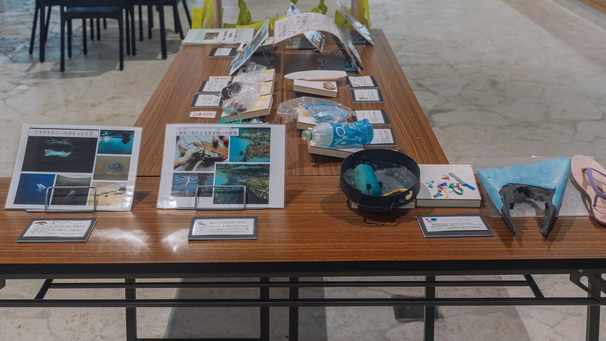 サンゴゆんたく館