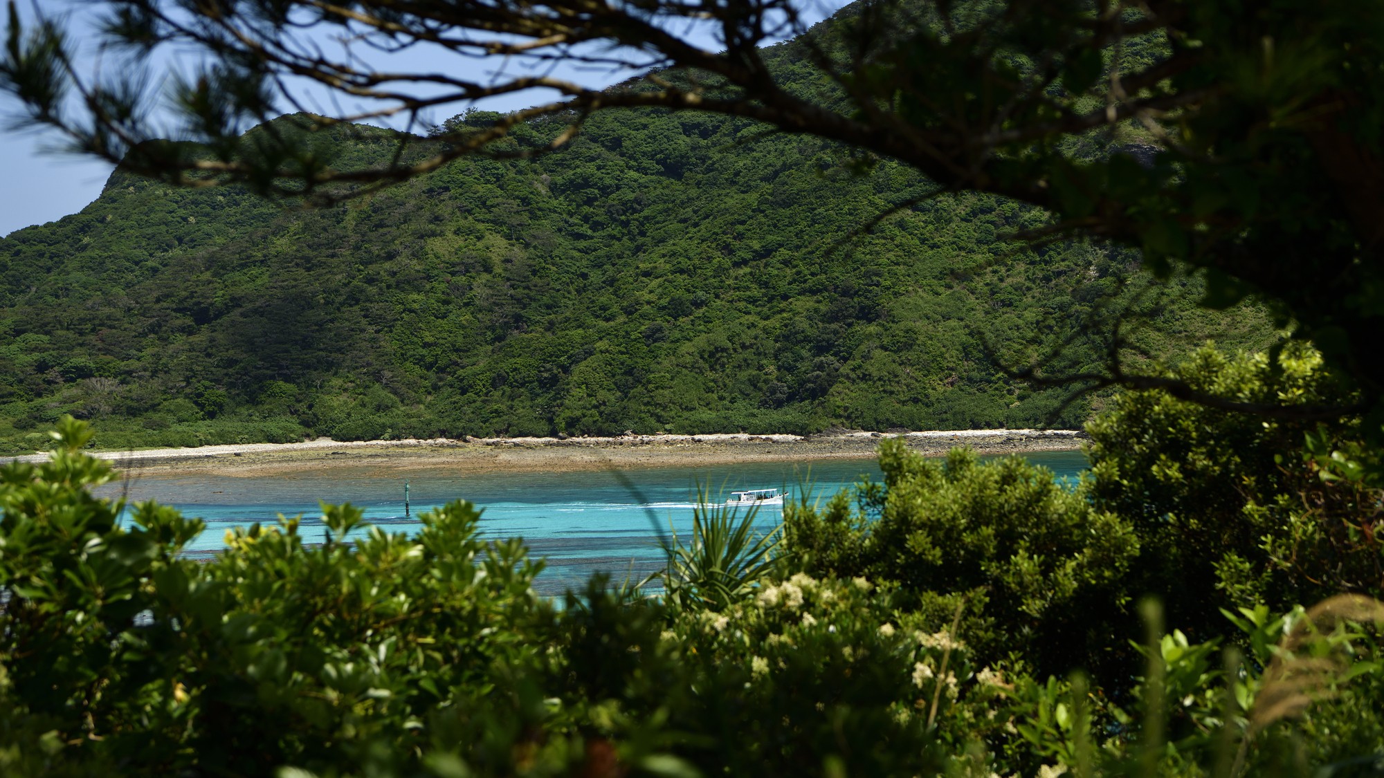 周辺環境