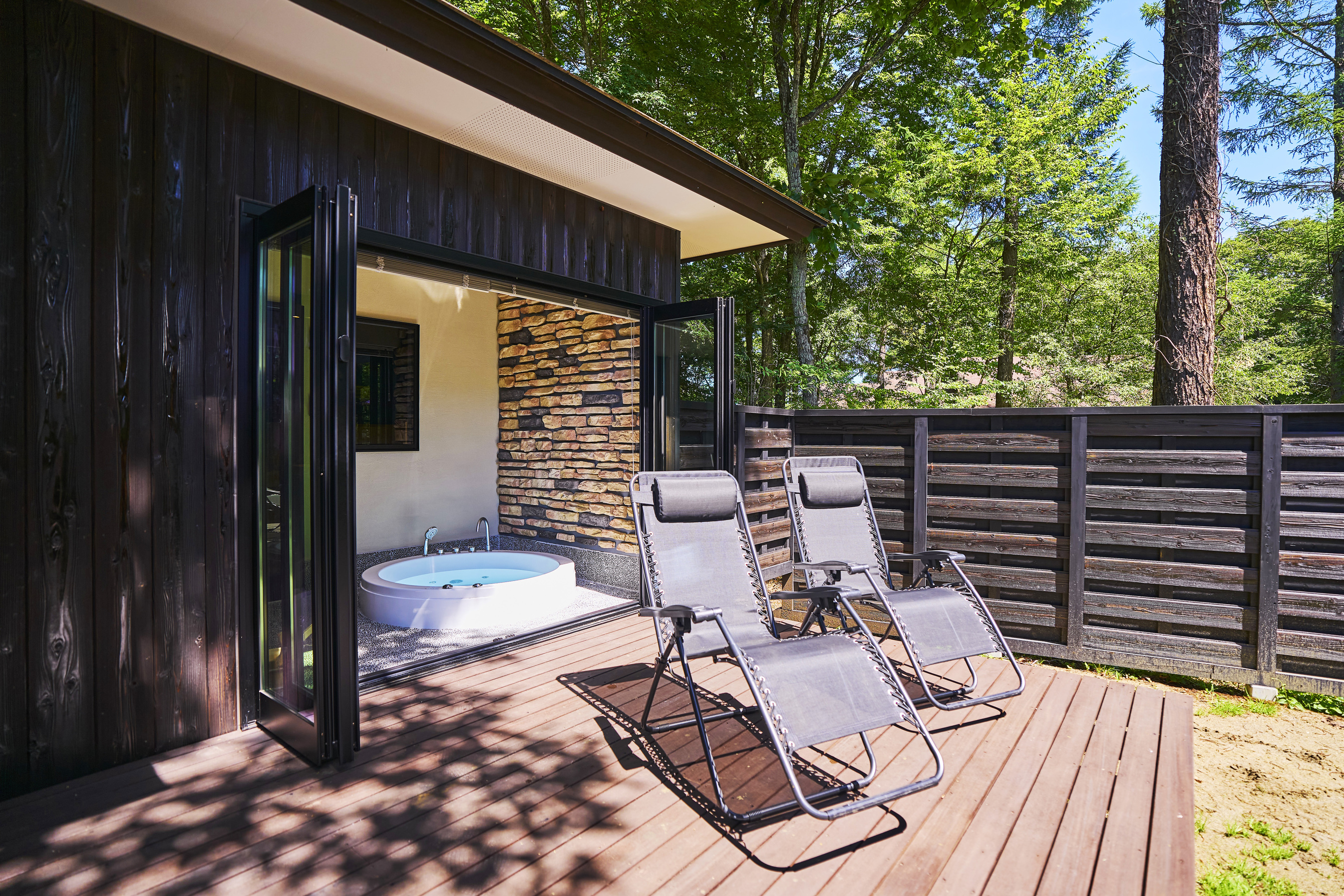 【ヤマボウシ】テラス