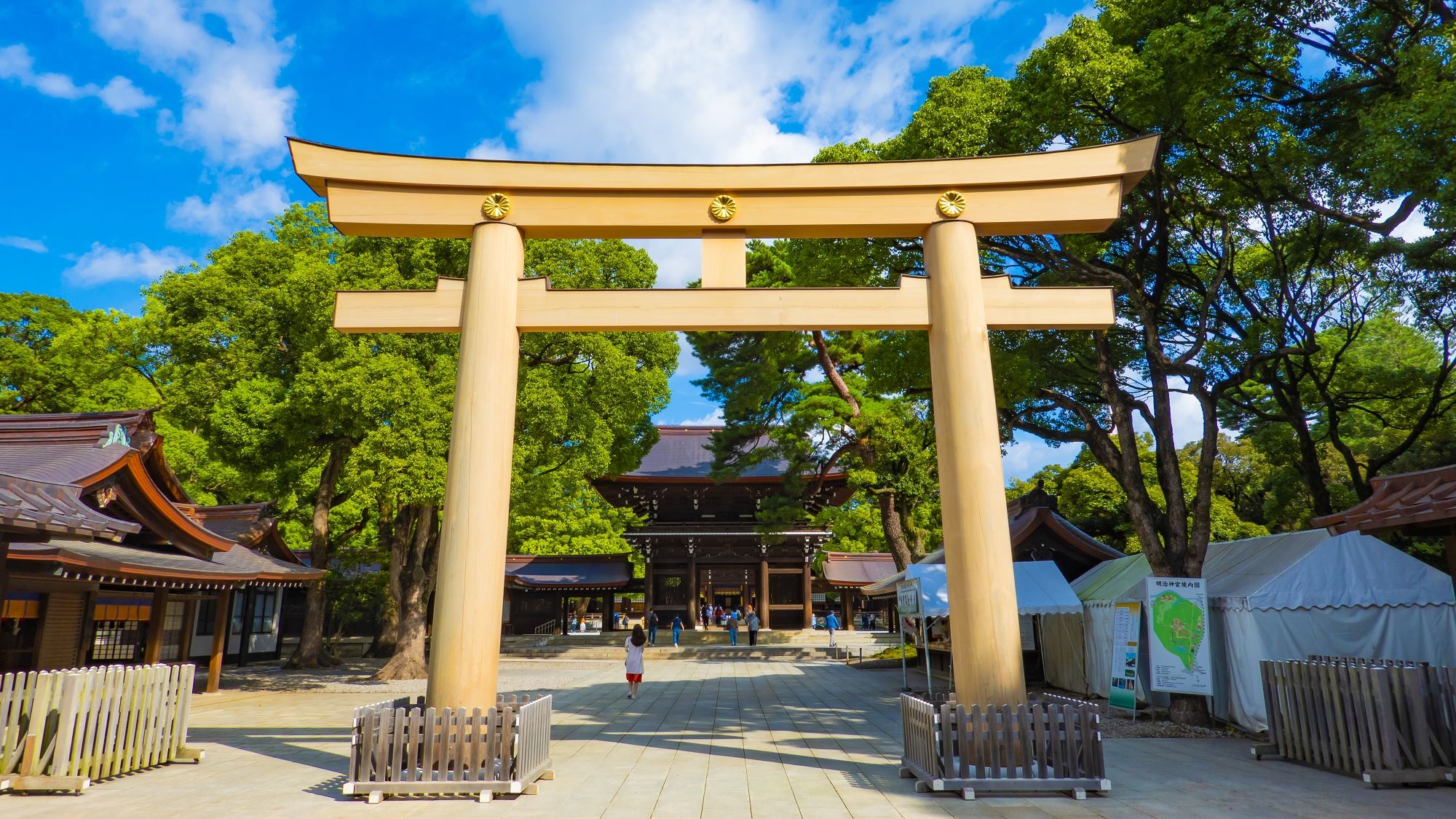 周辺観光｜明治神宮（公共交通機関で約20分）