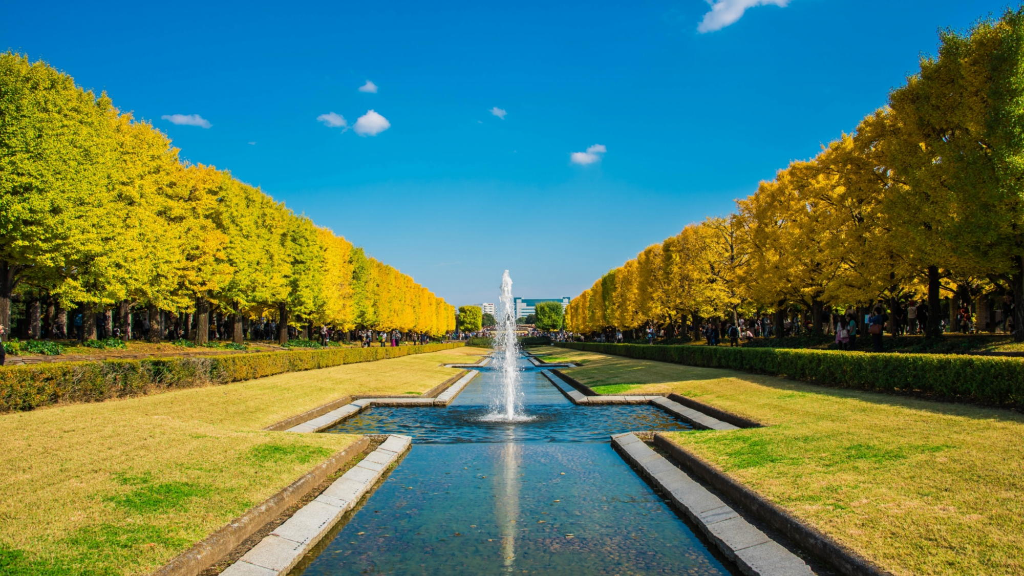 昭和記念公園（公共交通機関で約60分）