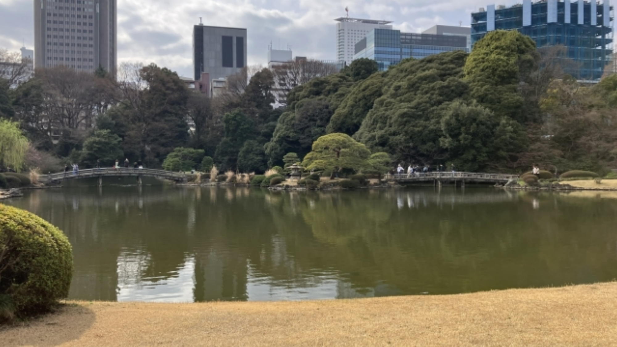 周辺観光｜新宿御苑（公共交通機関で約20分）