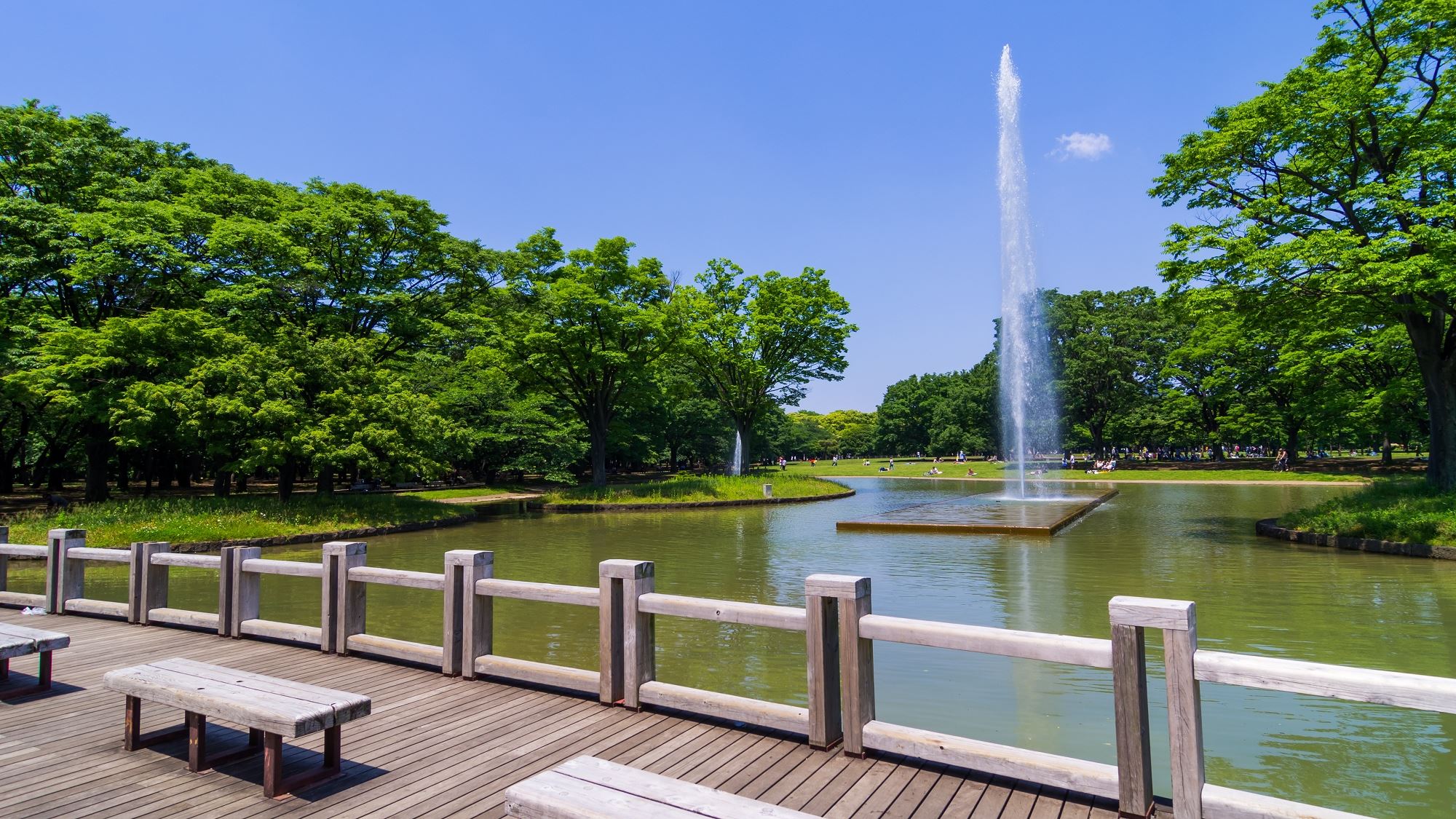 周辺観光｜代々木公園（公共交通機関で約15分）