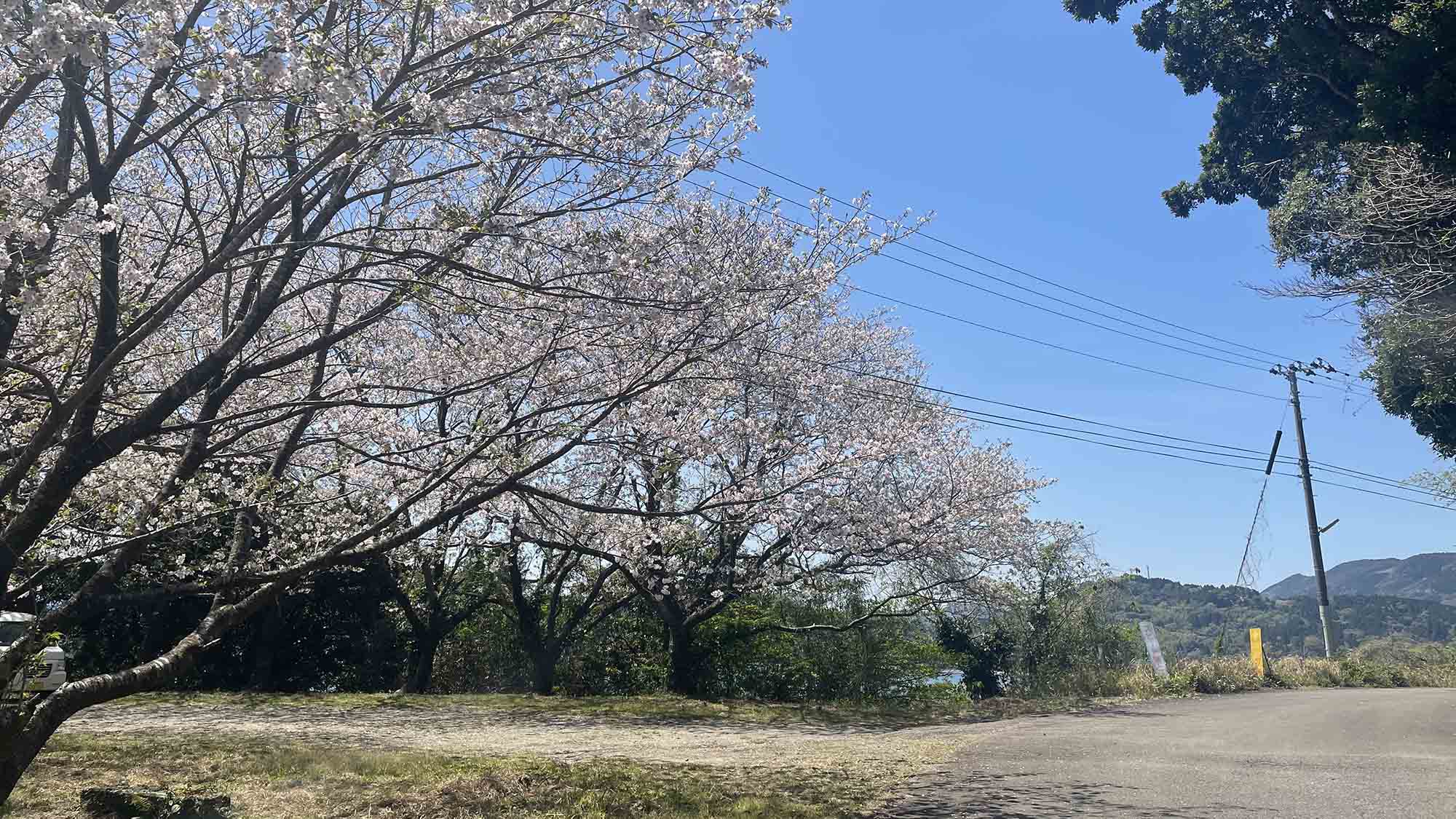 ・【風景】春には満開の桜をお楽しみいただけます。美しい季節の風景を特別な人とお楽しみください