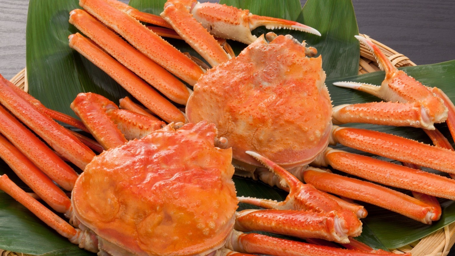 【1室3匹OK｜ペット可】【夕食付｜蟹づくし食べ放題】「本ズワイ蟹」を贅沢に堪能♪（ささみボウル付）