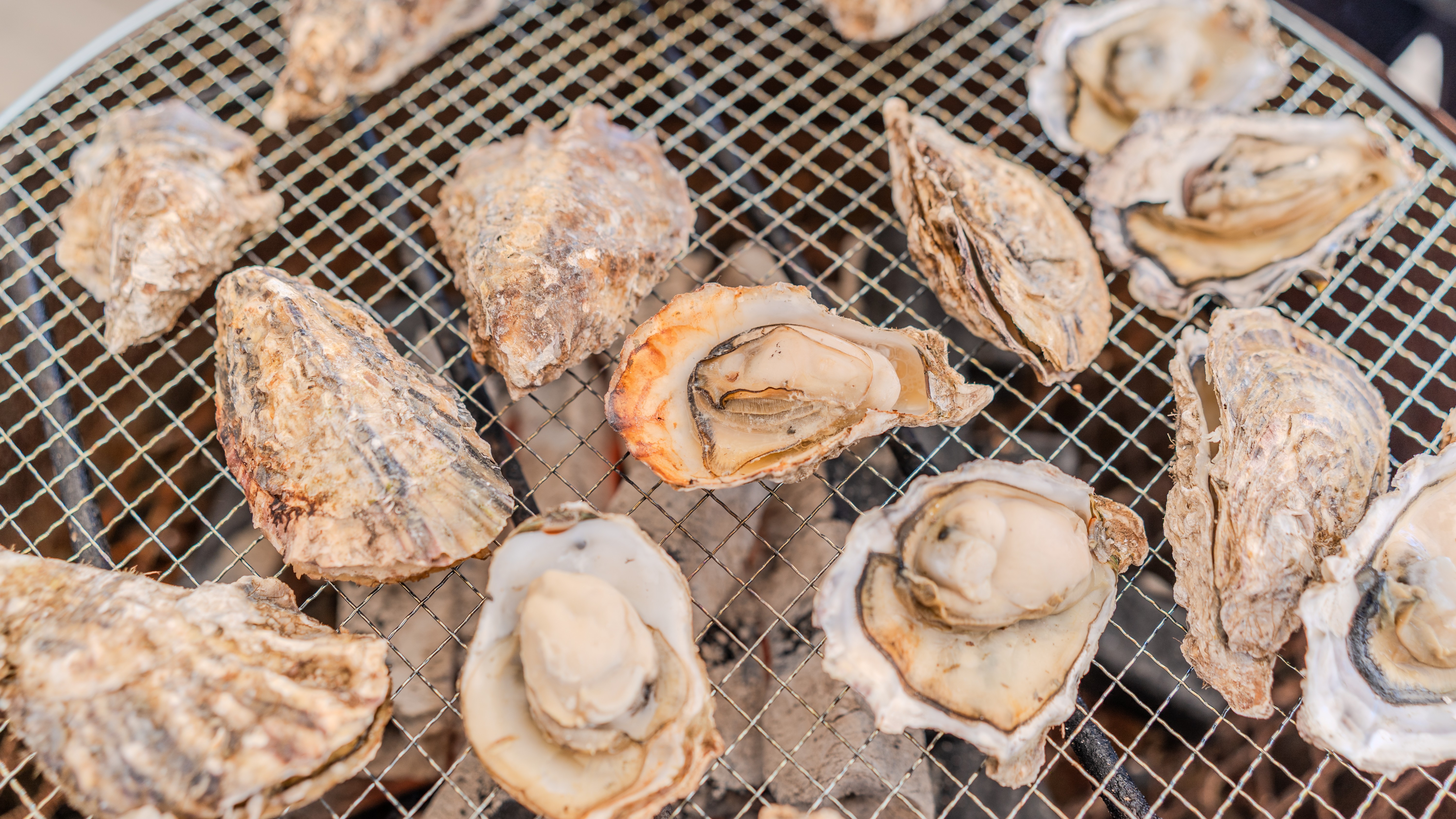 海風と楽しむ、春夏限定の浜焼きBBQ