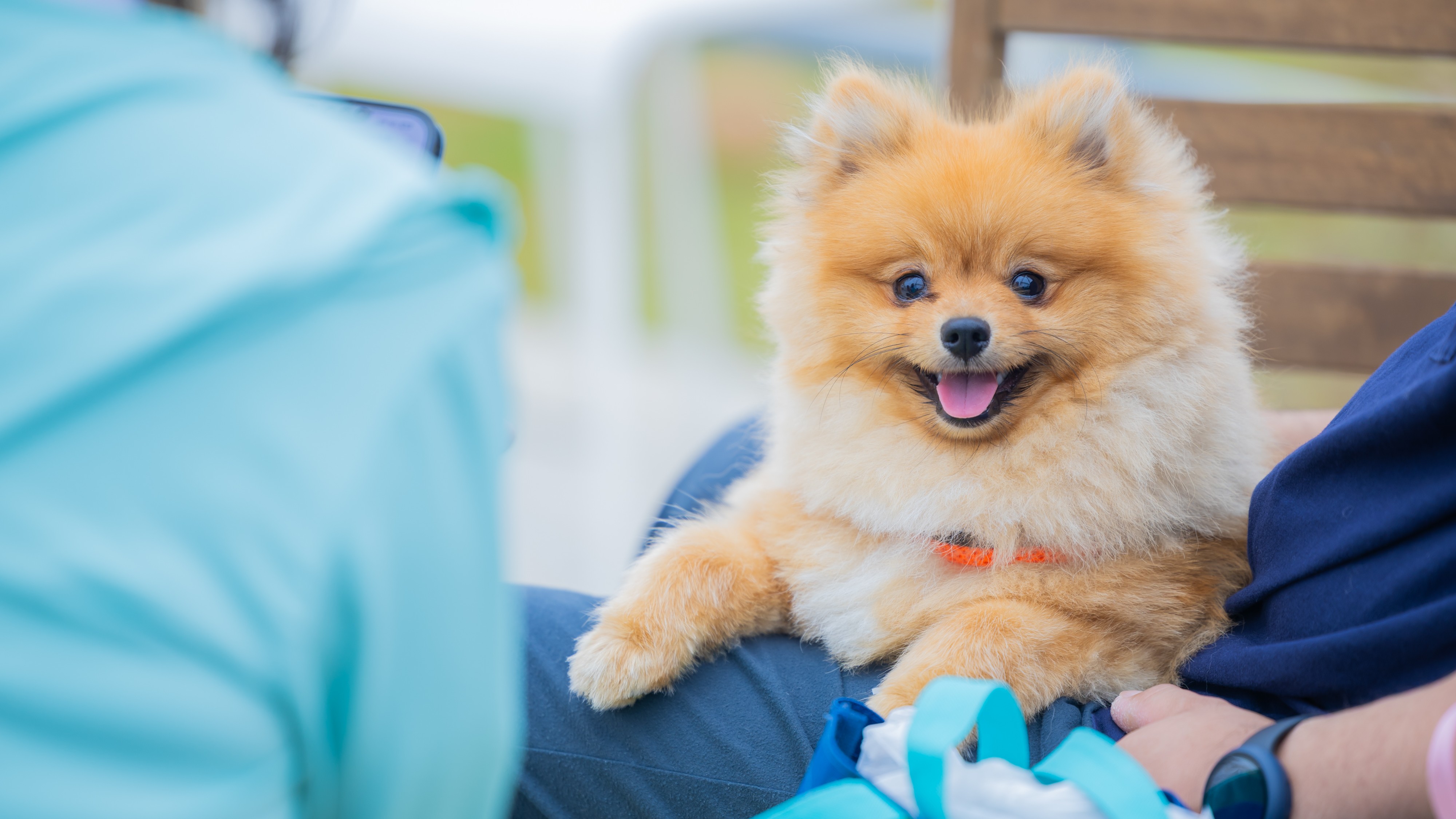 Long Vacation Resortご利用もワンちゃん同伴OK！