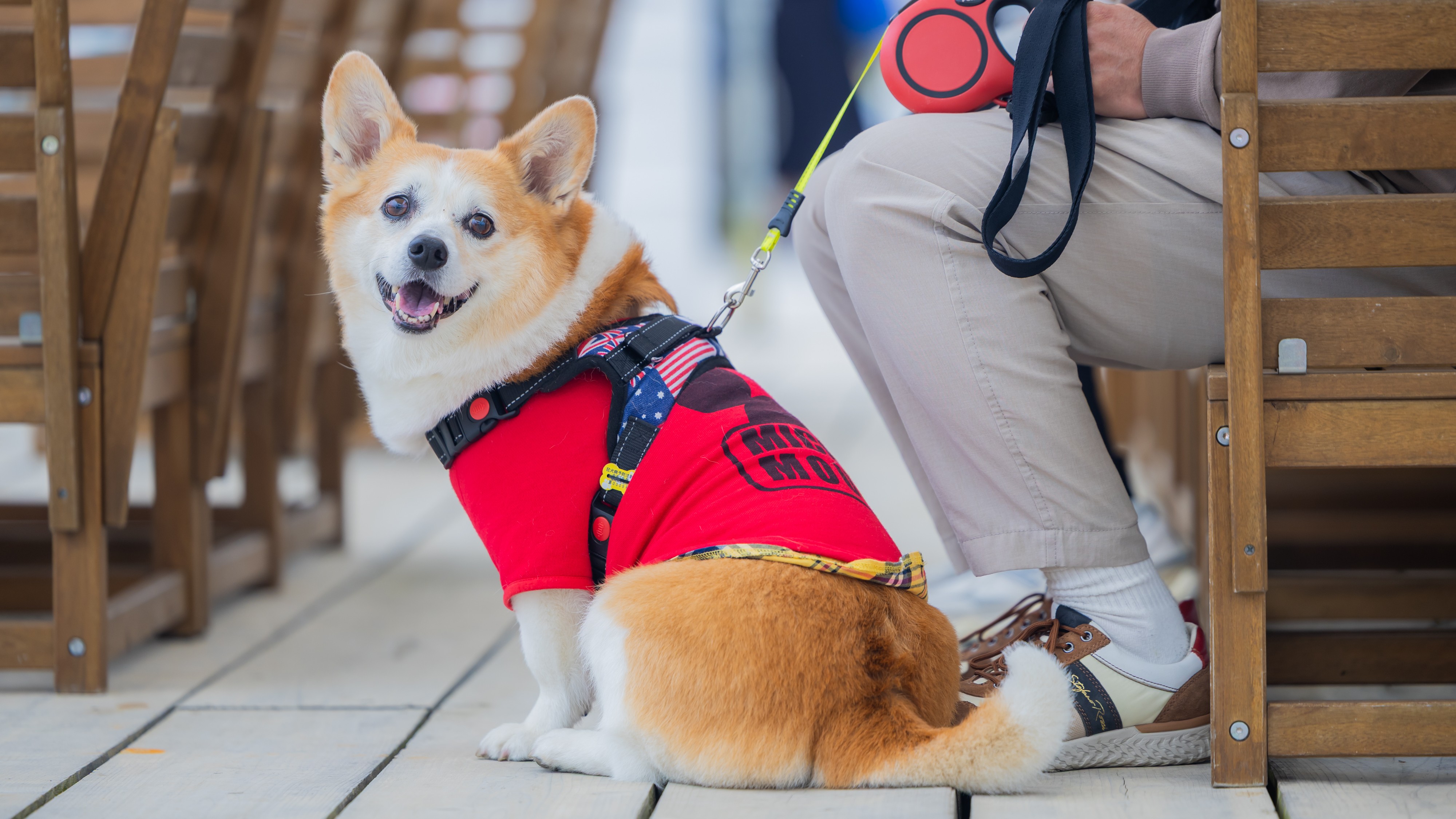 Long Vacation Resortご利用もワンちゃん同伴OK！