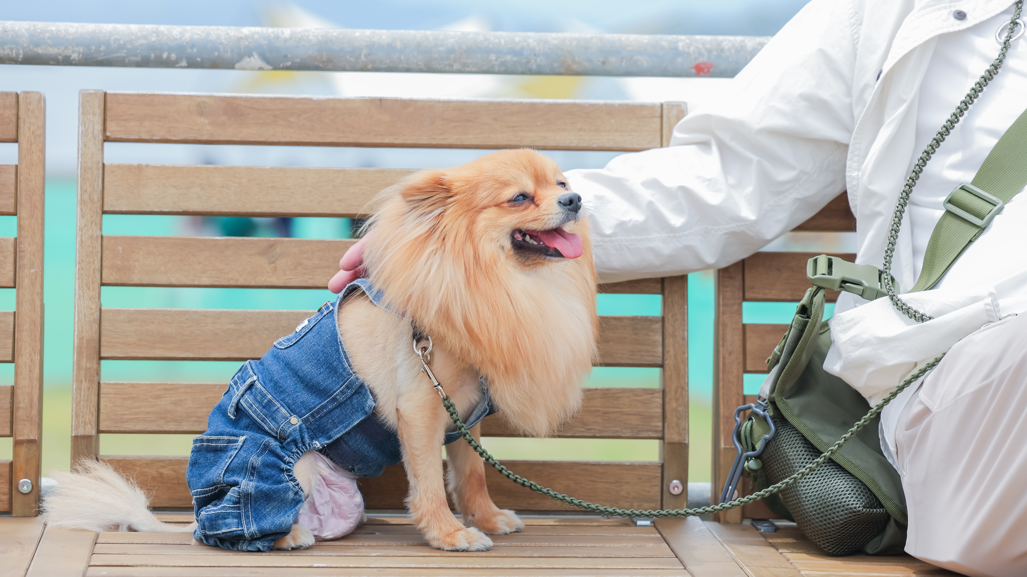 Long Vacation Resortご利用もワンちゃん同伴OK！