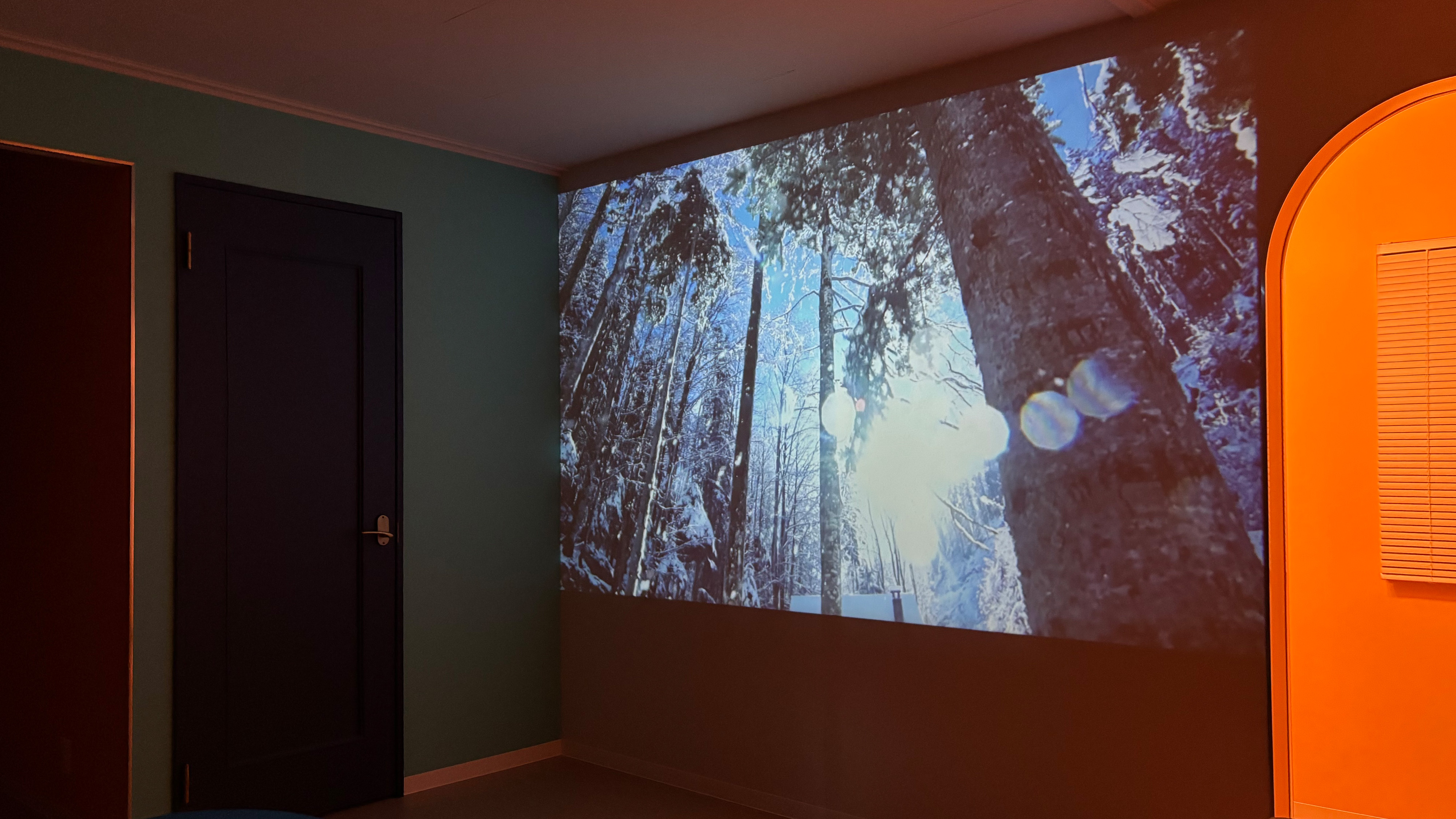 ＊プロジェクター