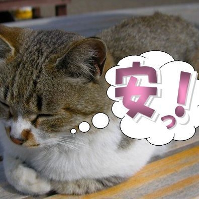 【当日限定】素泊まりプランでお得に気軽に温泉を満喫♪