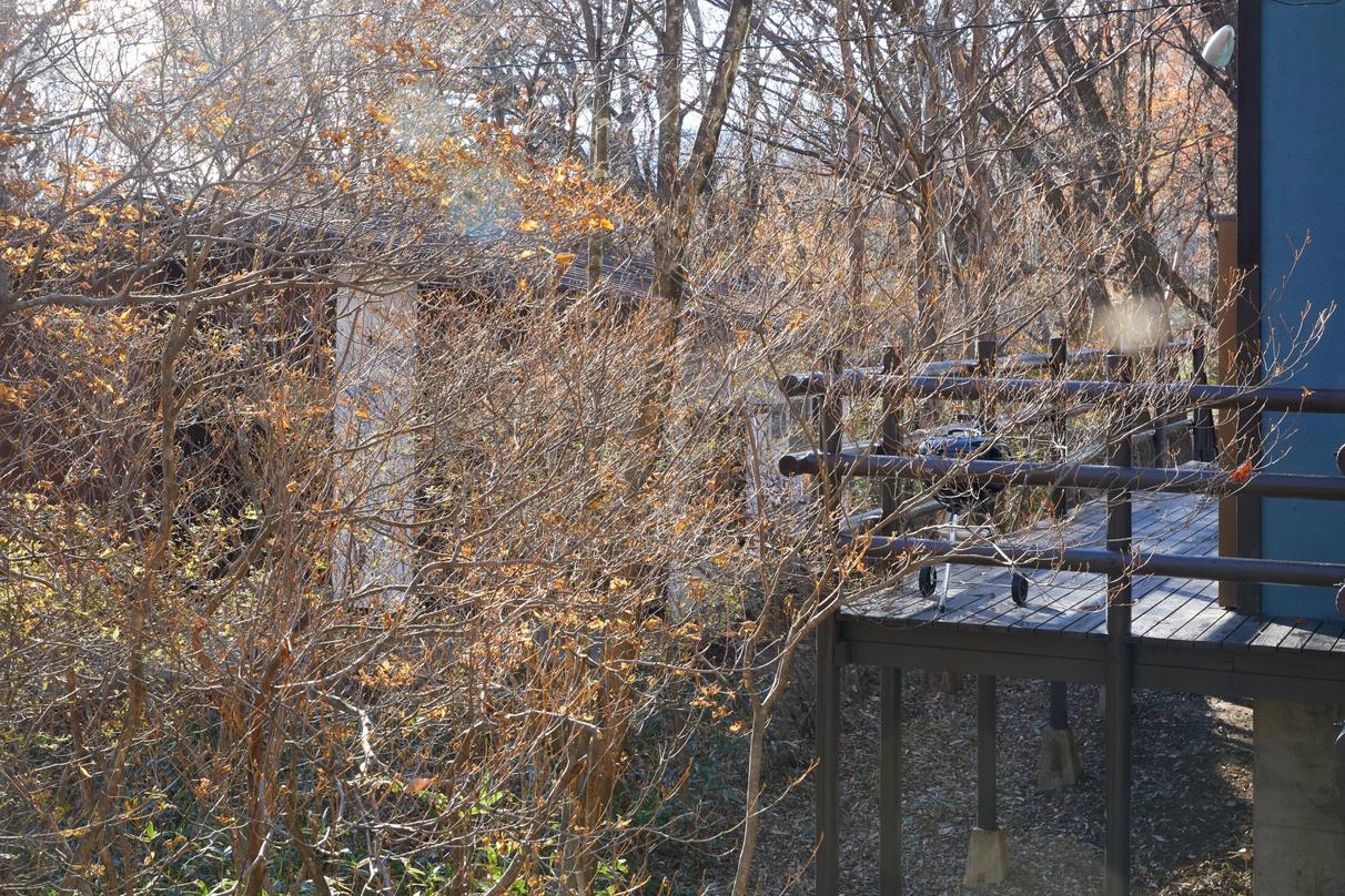 1日1組限定【別荘貸切素泊まりプラン】