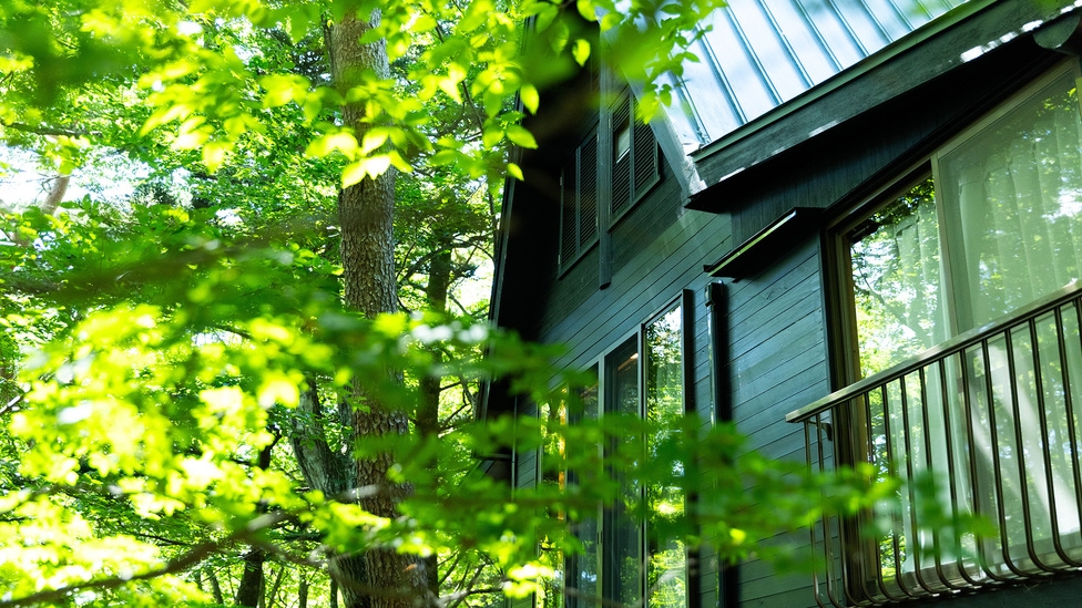 1日1組限定｜素泊まりプラン｜木々に囲まれたプライベートコテージ