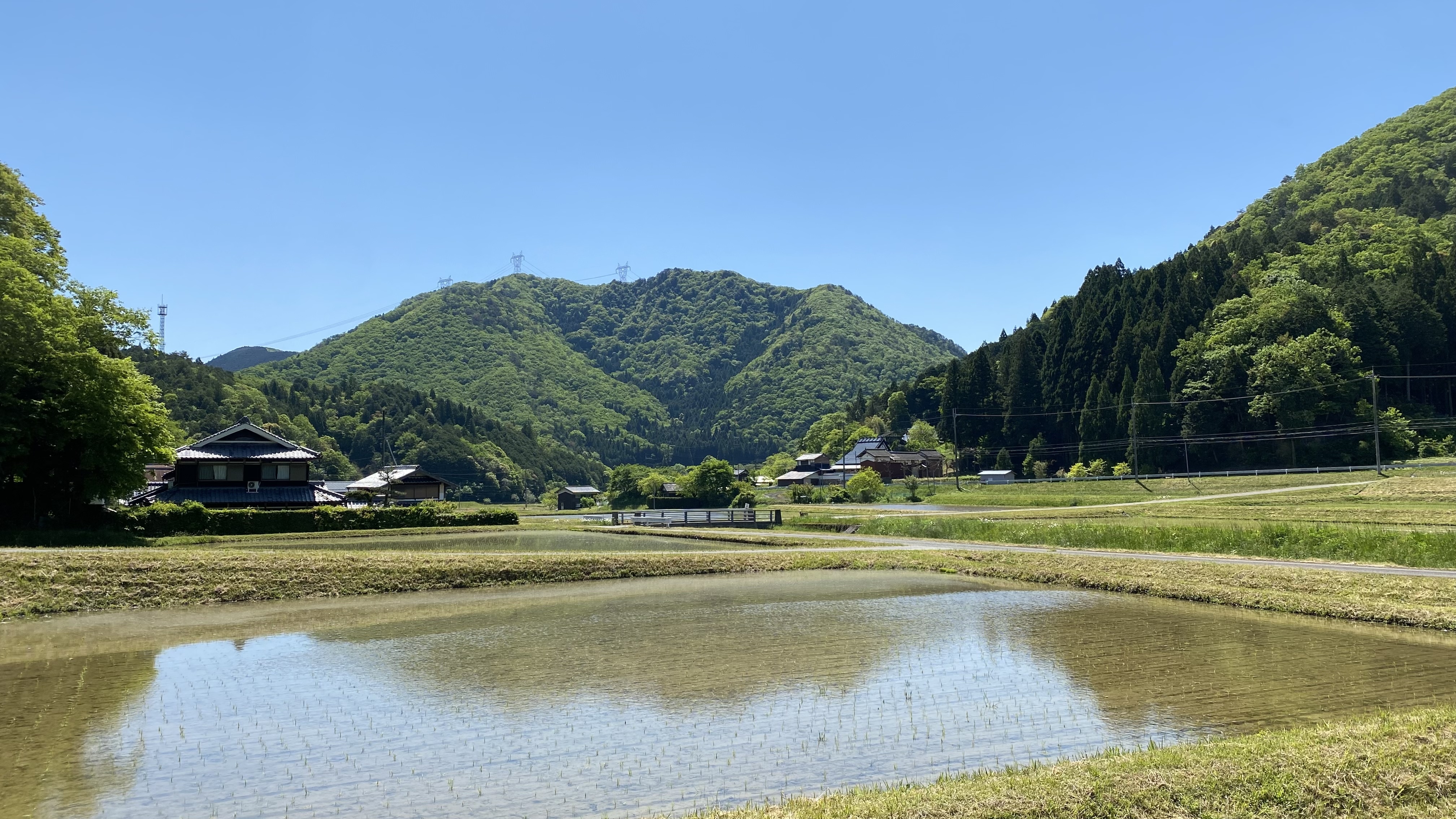 藤坂の自然豊かな景観