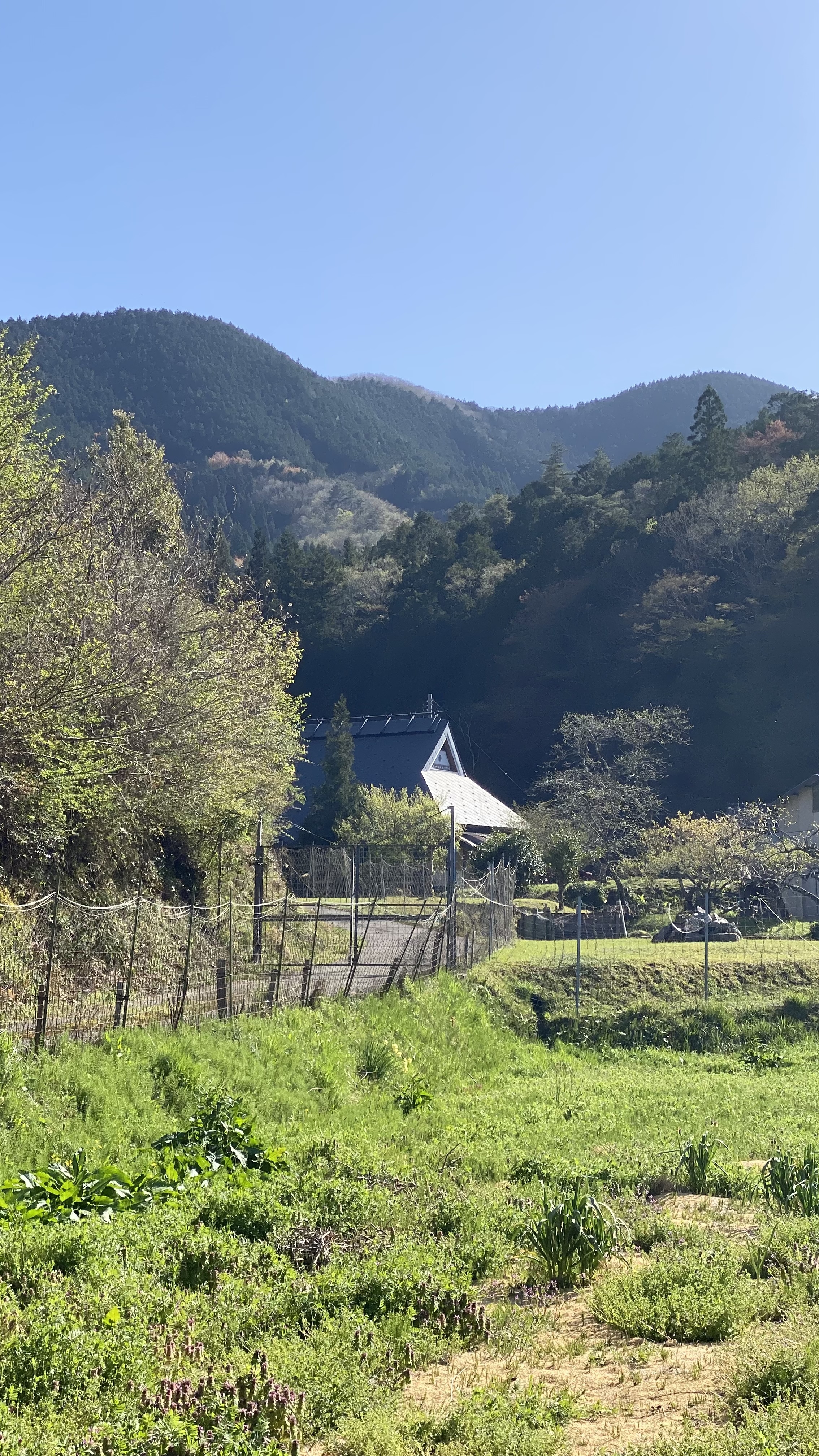 藤坂の自然豊かな景観