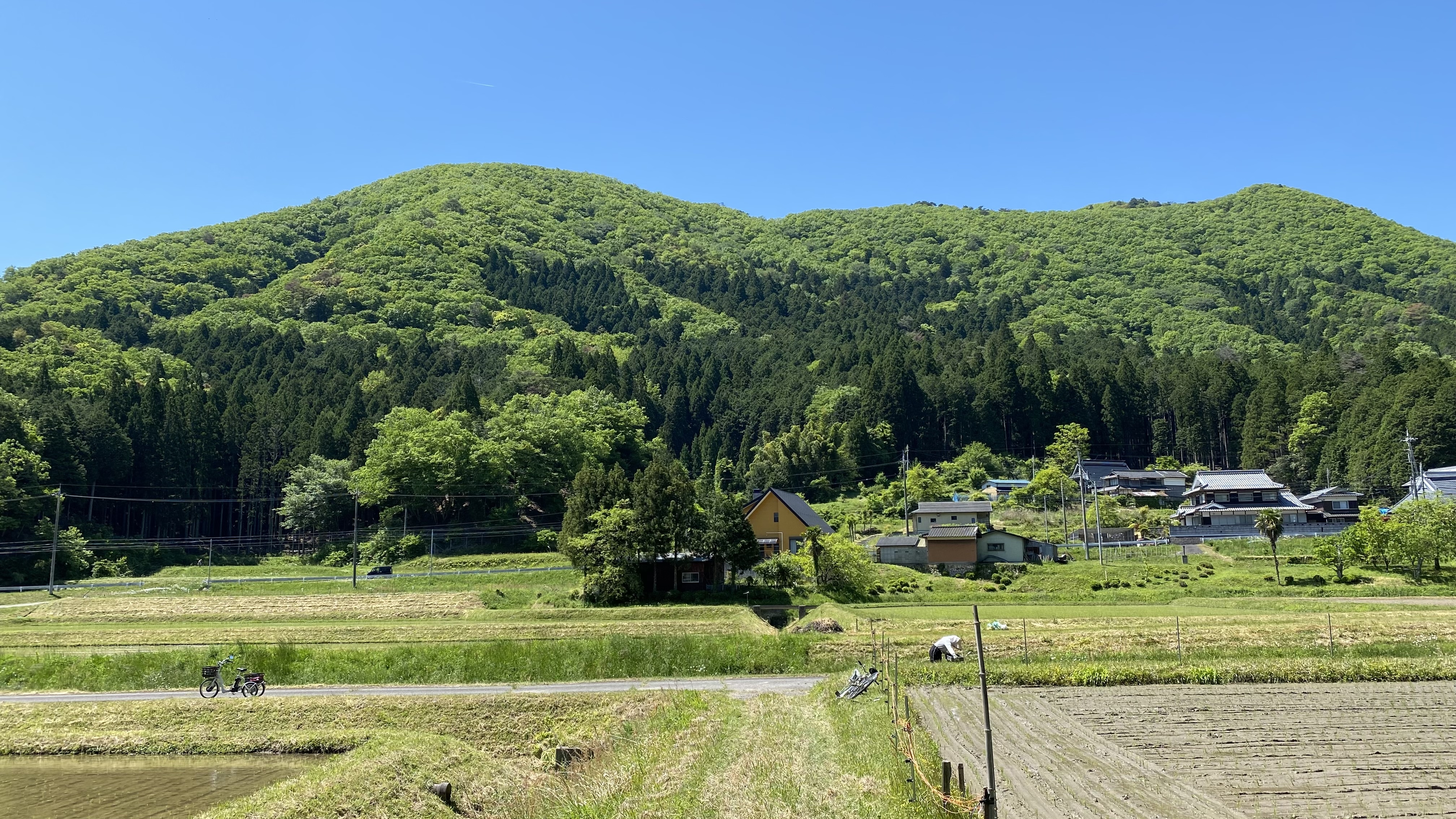 藤坂の自然豊かな景観