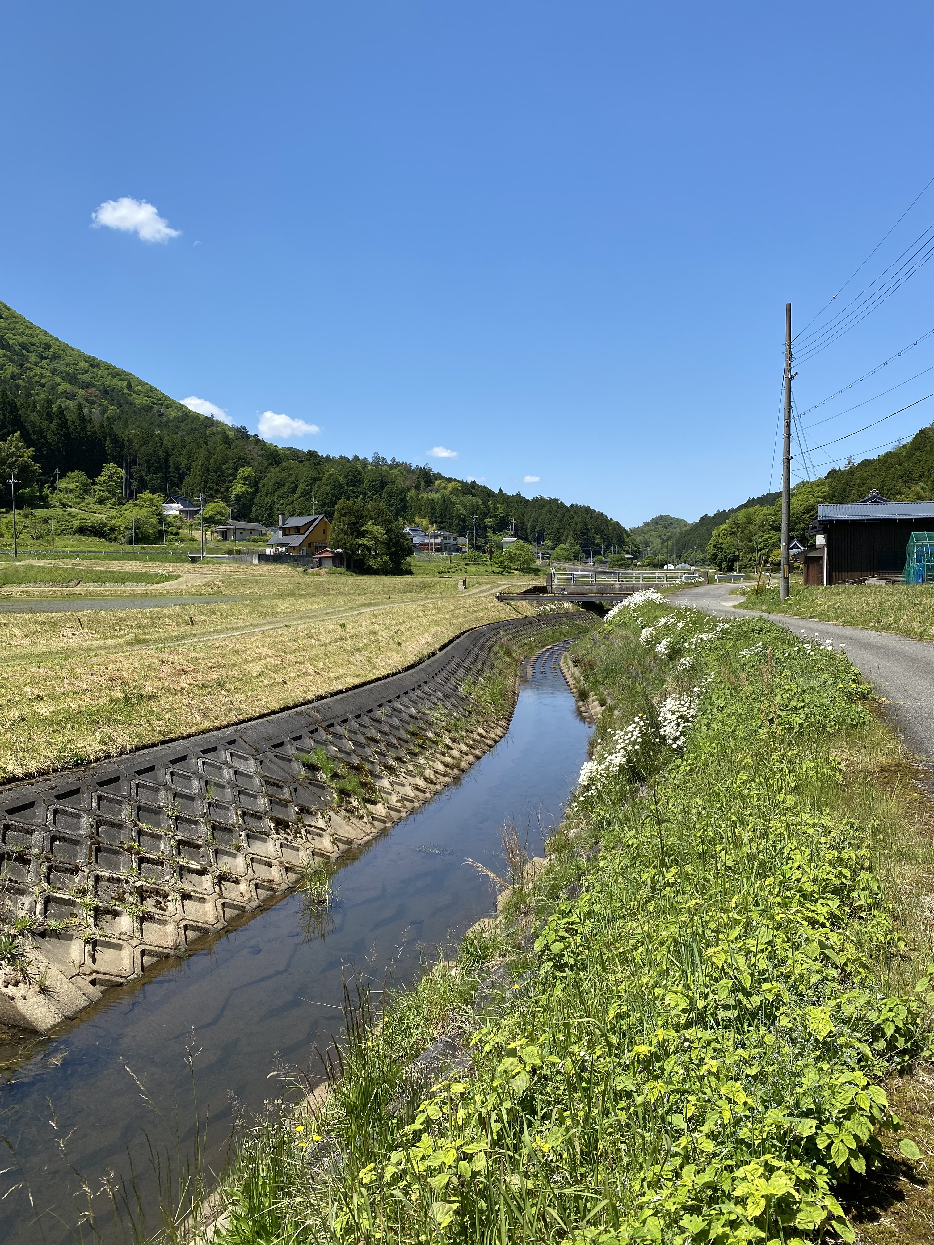 藤坂の自然豊かな景観