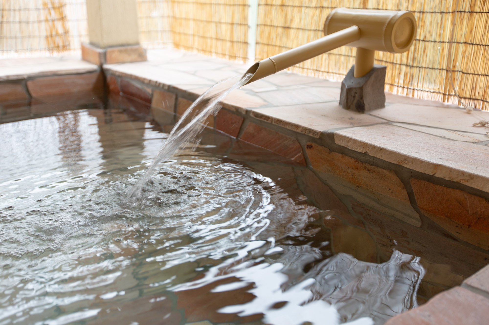 【朝食付】下田のパン屋さんと提携♪美味しいパン＆ドリンクセット（夕食なし）