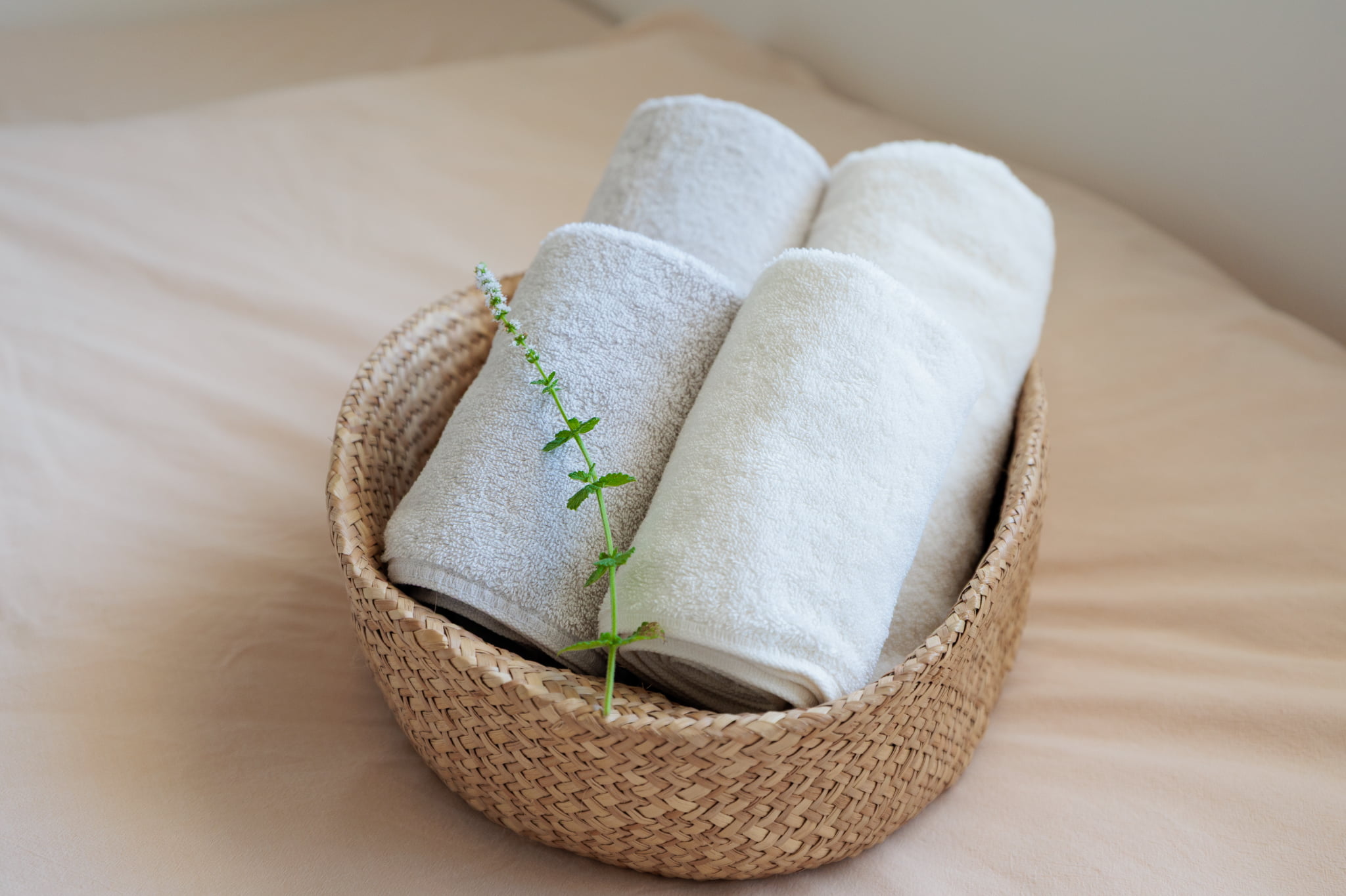 フェイスタオル／バスタオル