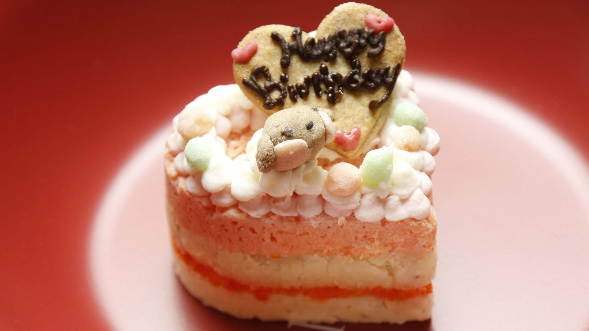 わんちゃんとの記念日に【食事・ケーキ】3大特典付♪アニバーサリー犬プラン♪