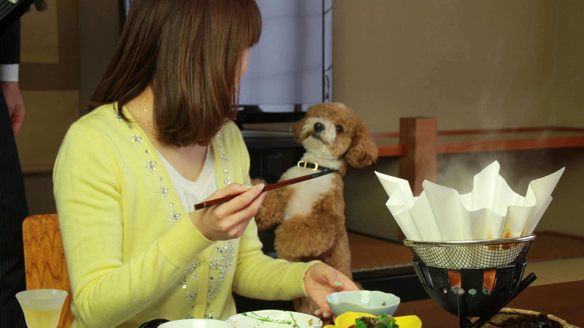 【スタンダード会席】日本海の獲れたて食材を郷土料理で！わんちゃんと一緒旅