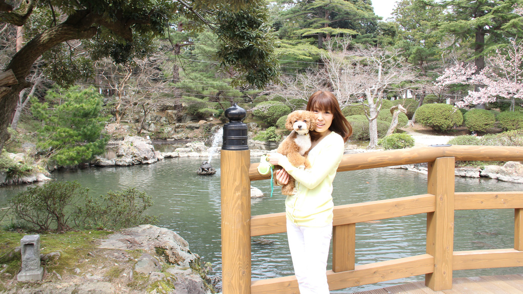 ☆ワンOne旅行☆愛犬と一緒に夕食控えめお気軽膳１人旅【平日限定】