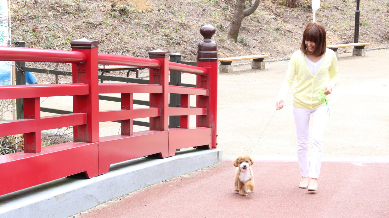 ☆ワンOne旅行☆愛犬と一緒に郷土料理１人旅【平日限定】