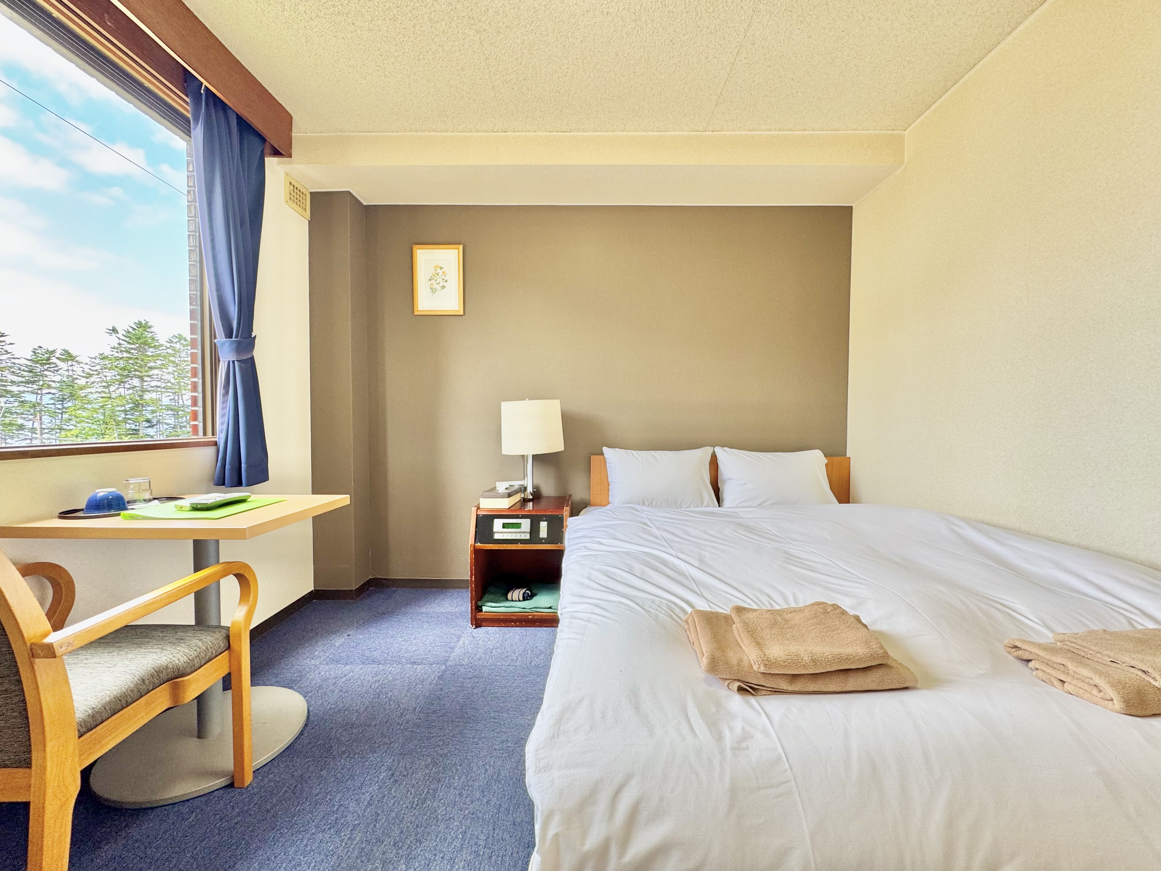 洋室ダブルルーム（バス・トイレ付）