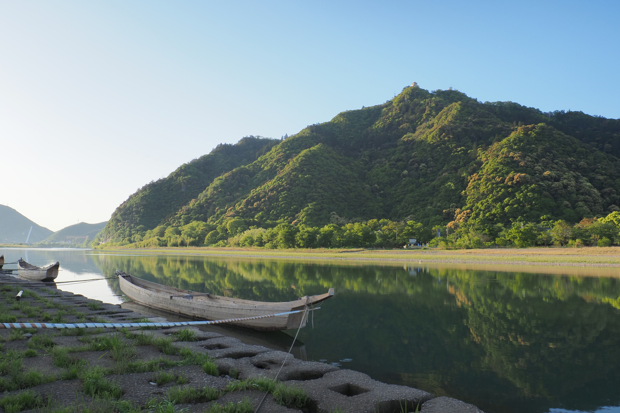 ツブラジイの咲く金華山と岐阜城