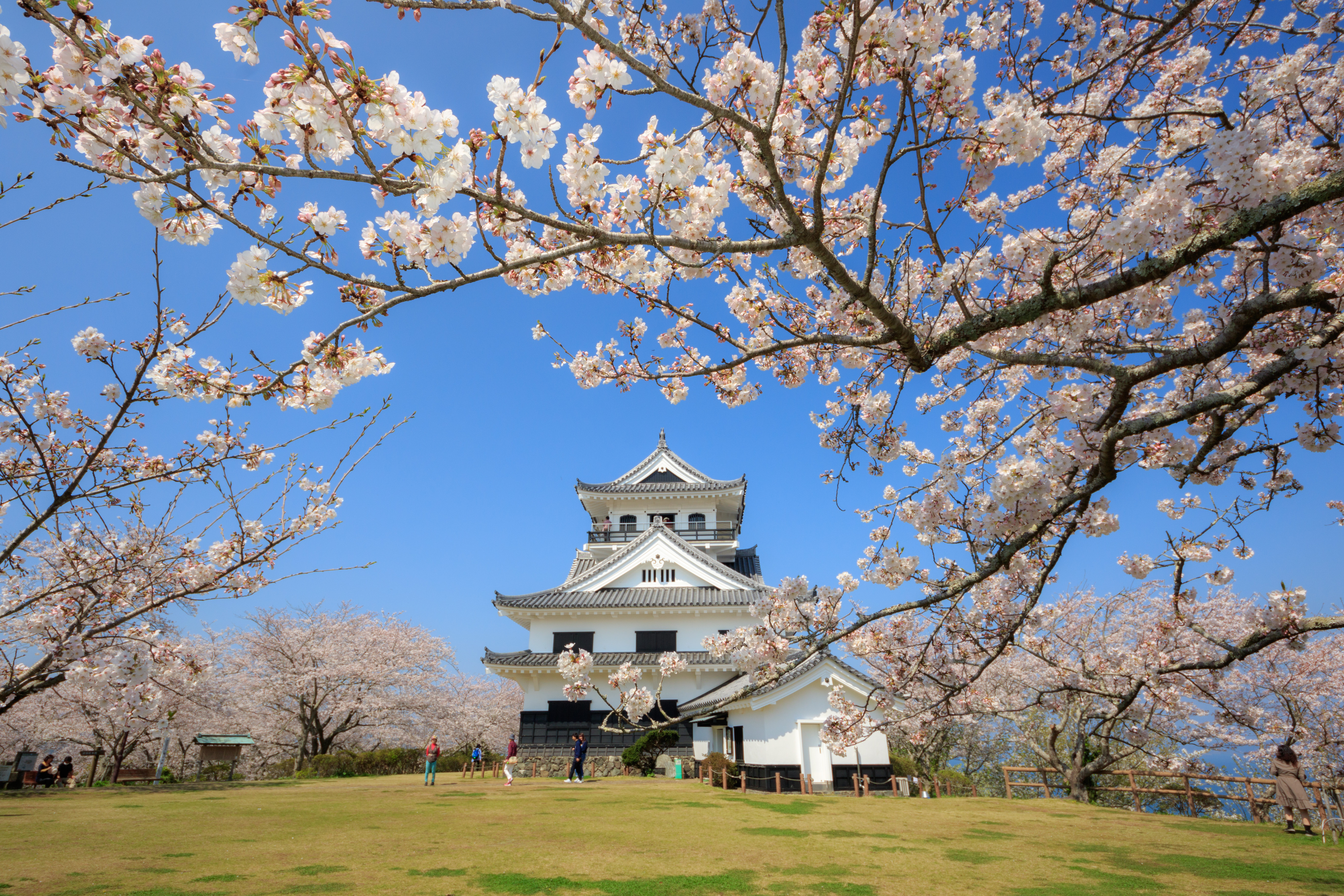 館山城・館山公園