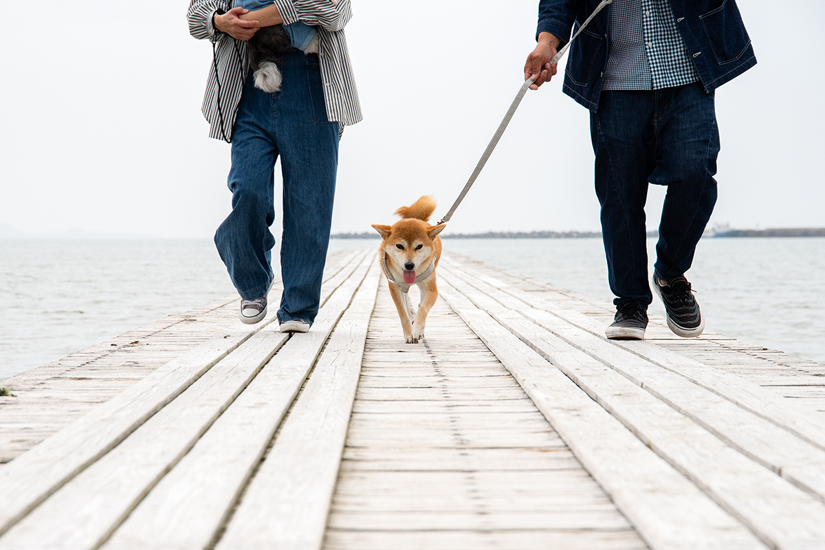 *【海辺の散歩】海辺の遊歩道でゆったりとお散歩を楽しめます。