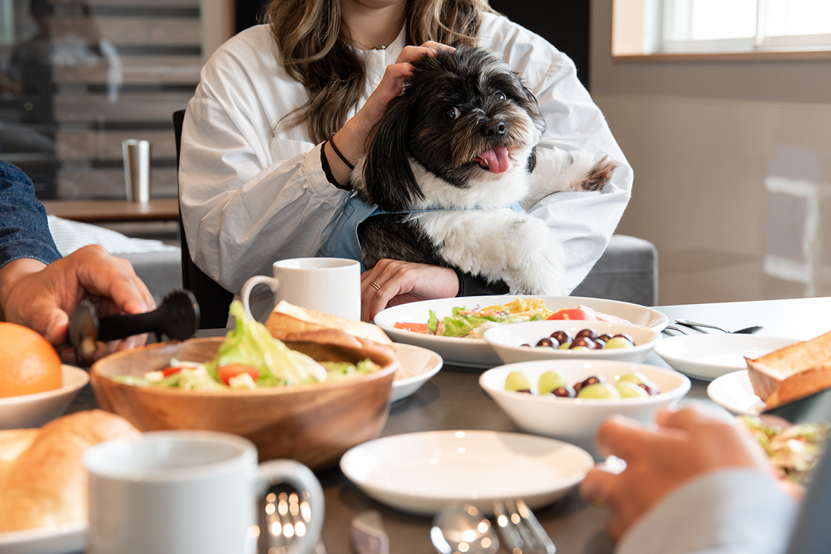 *【朝食イメージ】愛犬と一緒に朝食を楽しめる癒しの時間を提供。
