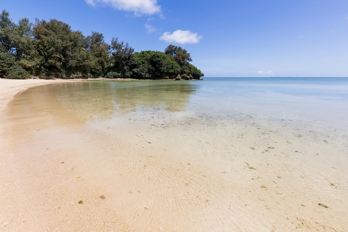 海まで徒歩約1分！ 芝生の先に、穏やかな海が広がっています。