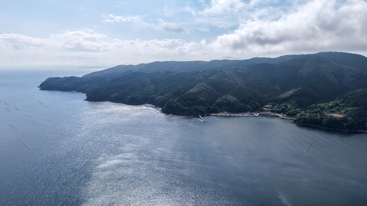 【素泊まり】全室オーシャンビュー！海のそばの静かな宿でゆったりステイ♪自由な旅におすすめ！