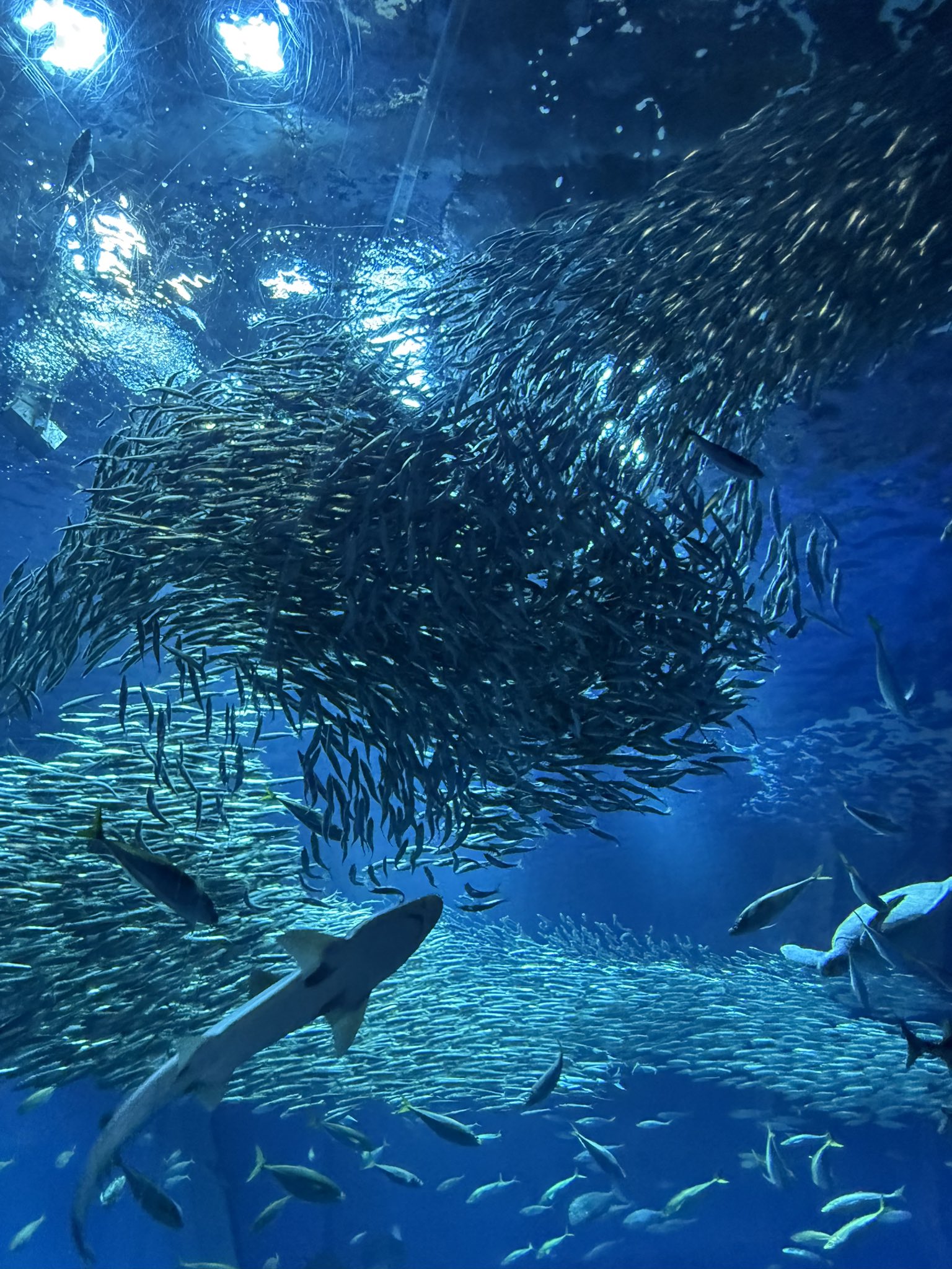 近隣観光施設03