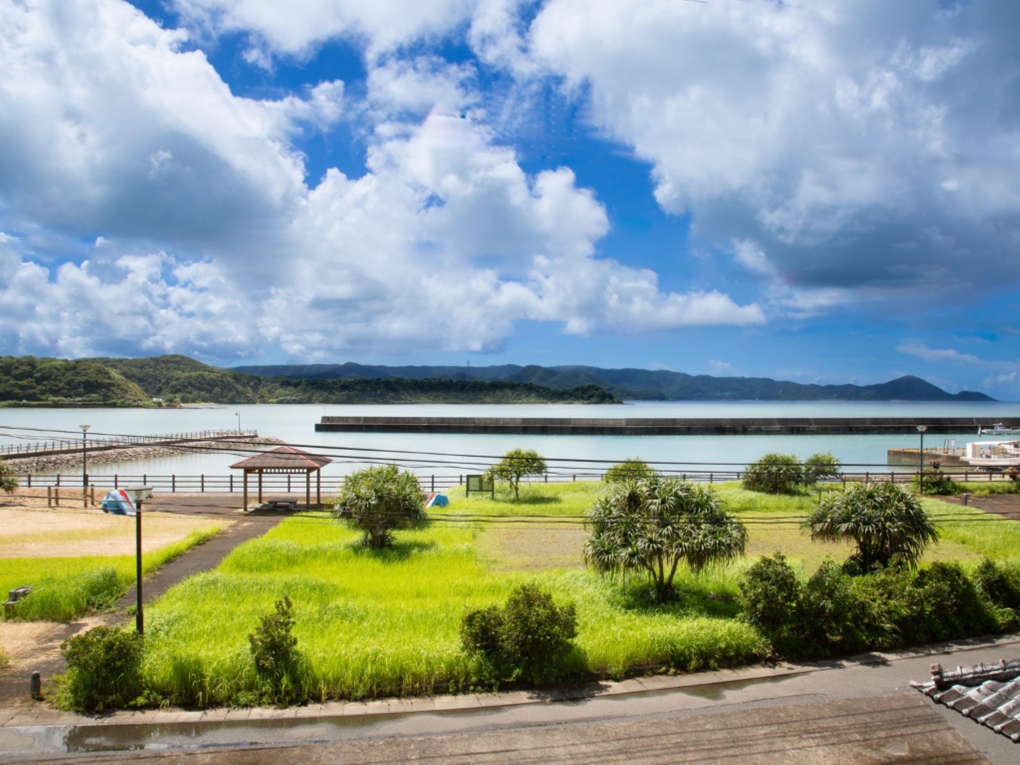 葉月からの願望