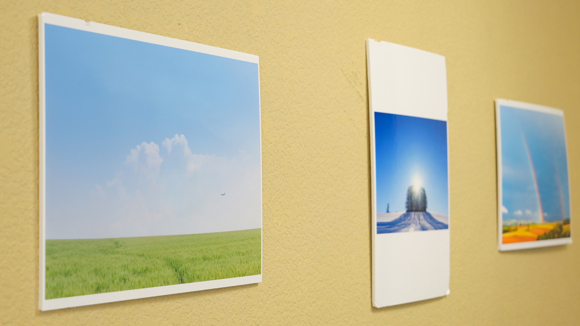 #富良野の美しい景色を展示しております