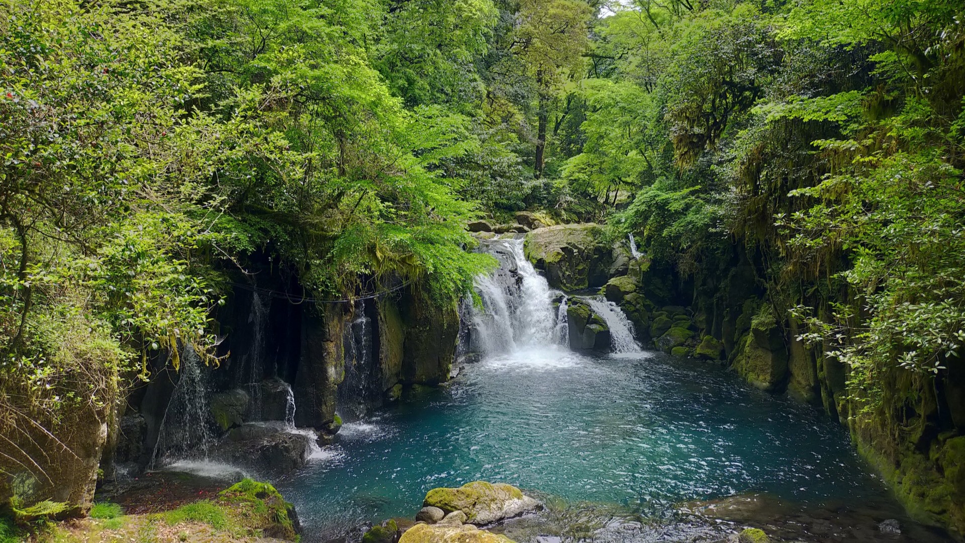 菊池渓谷：ホテルから車で35分
