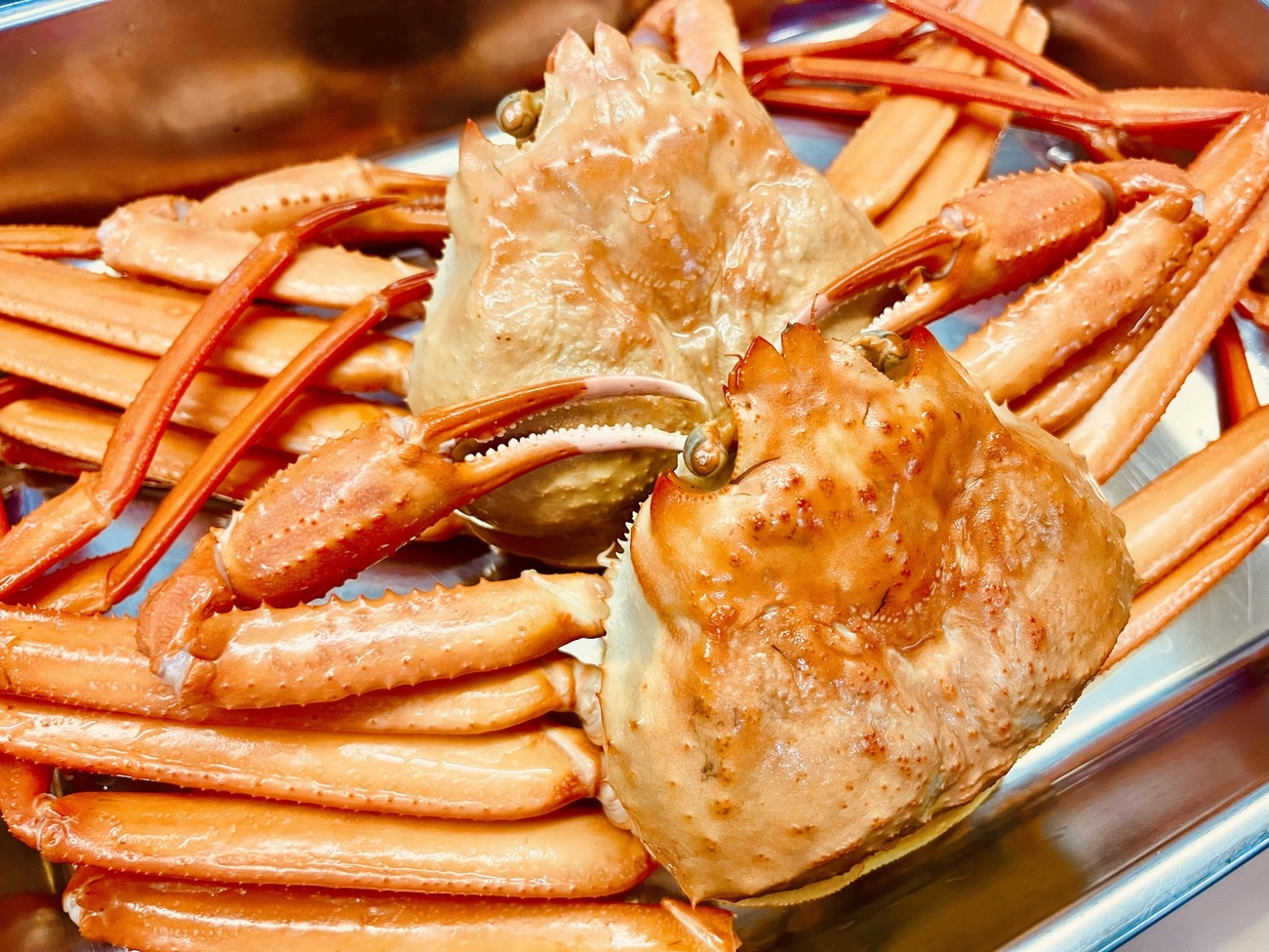 2食付きプラン　12月