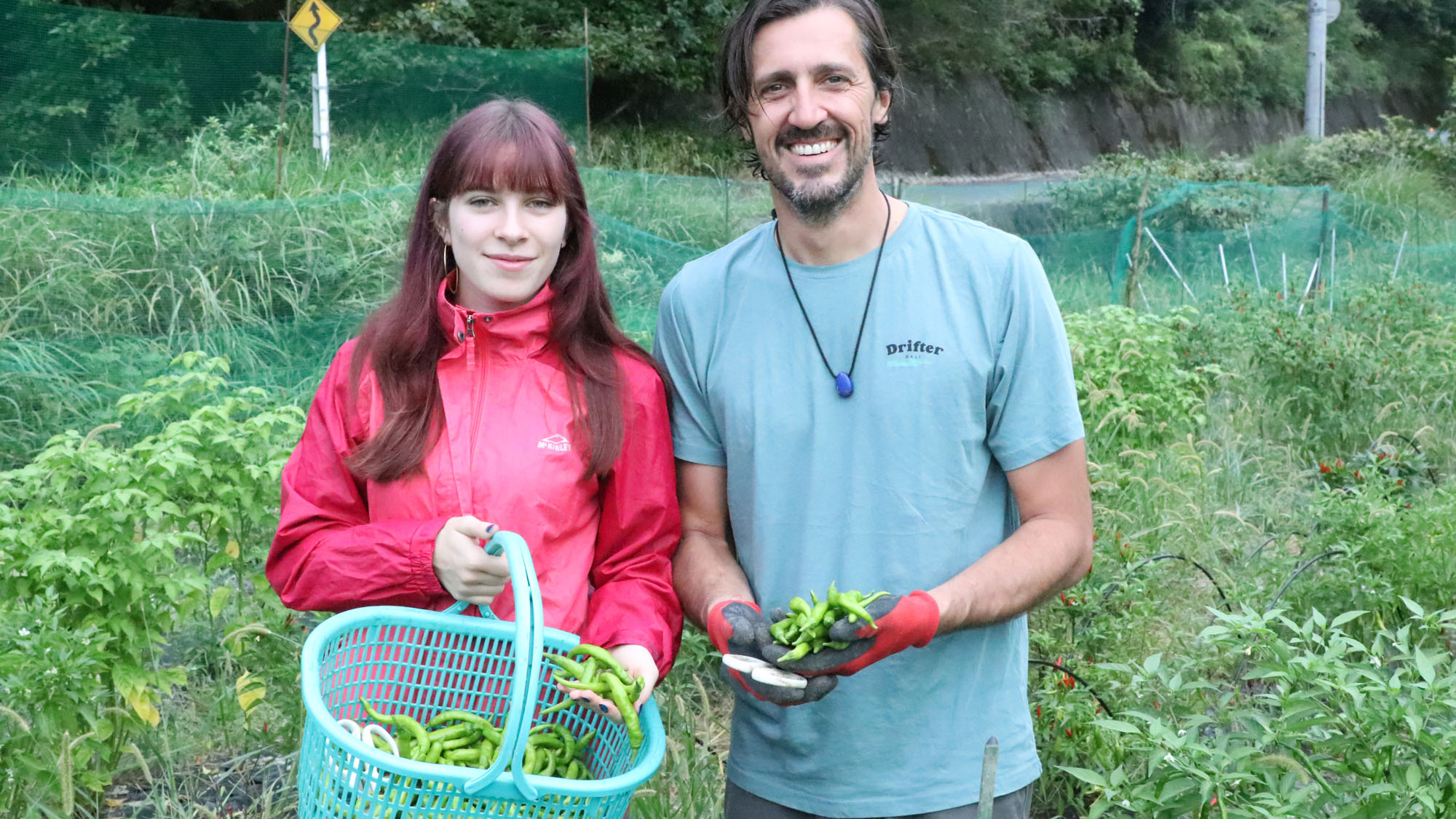 【農業体験】イロンゴで育てている畑で収穫体験が出来ます。*