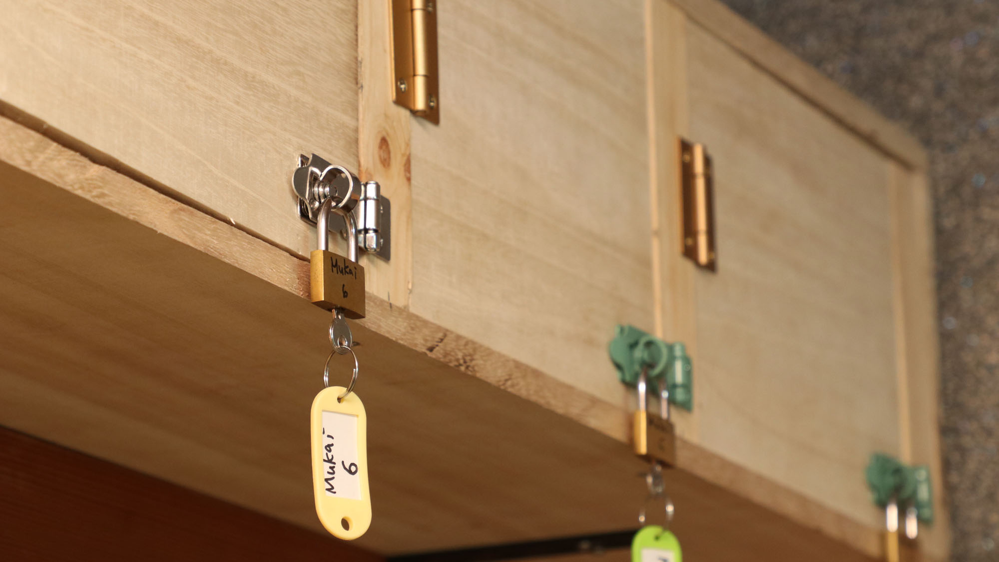 【向かい館内イメージ】*