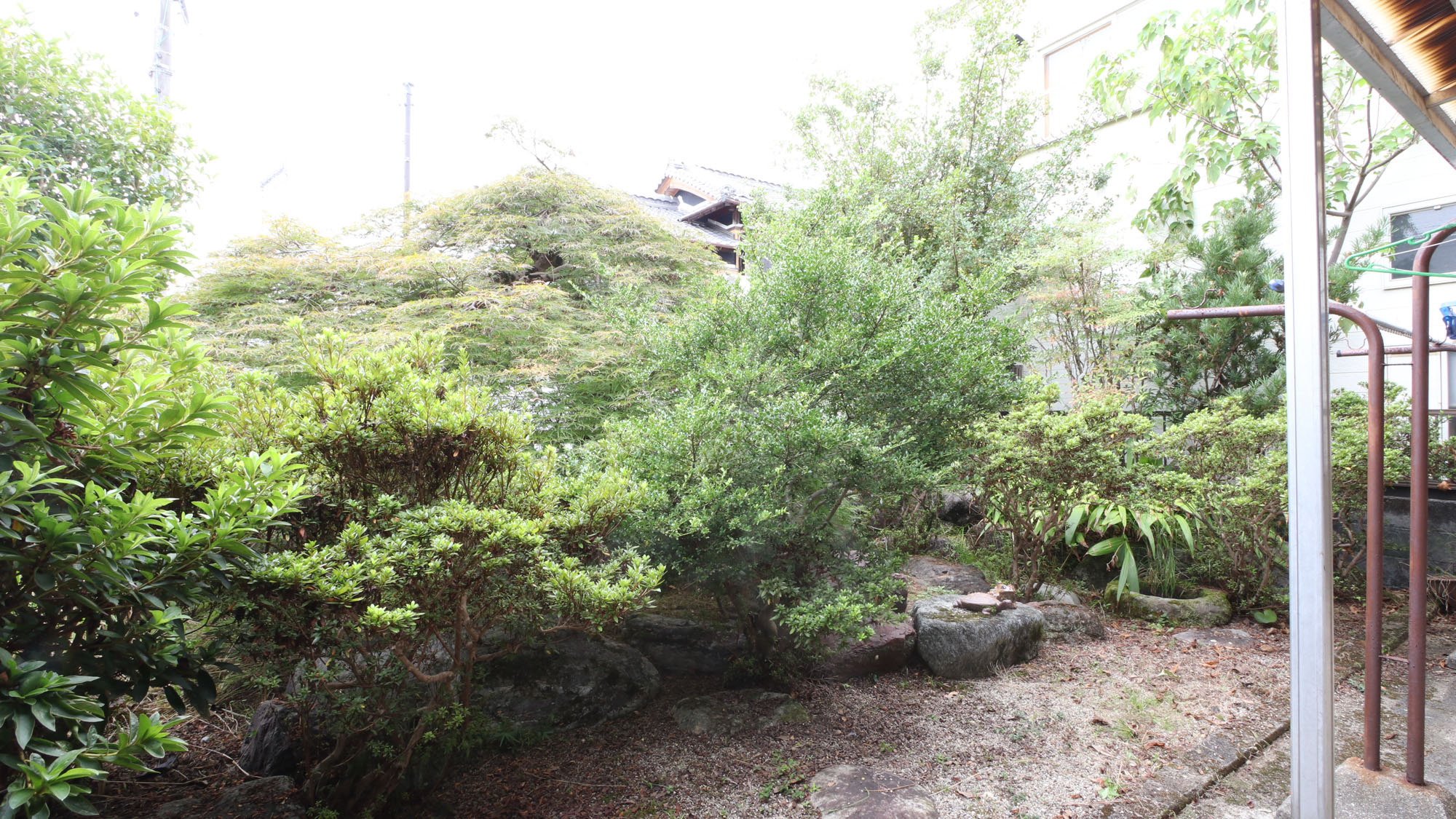 【むかい＿庭】*